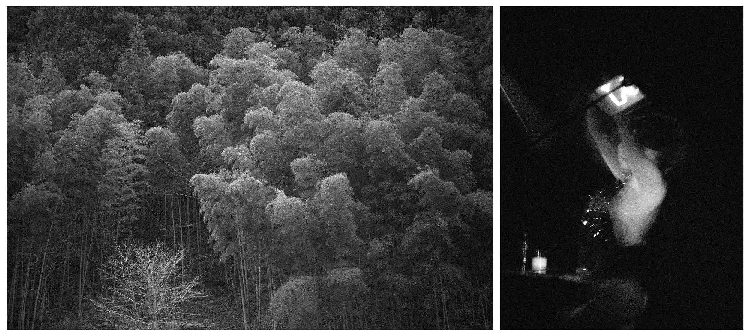 FALL VALLEY / NIGHTBIRD