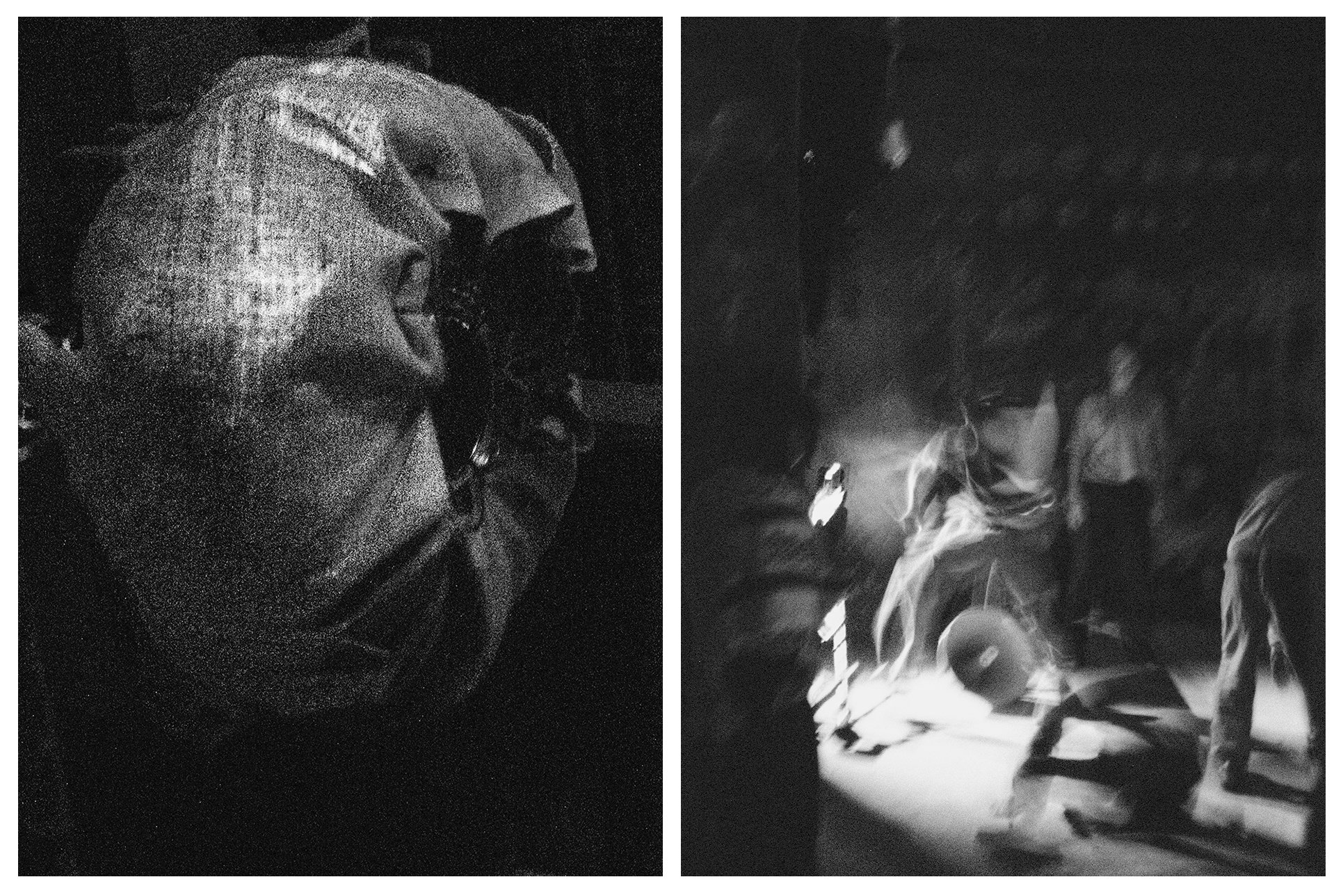 DIPTYCH - PLURAL FIELDS