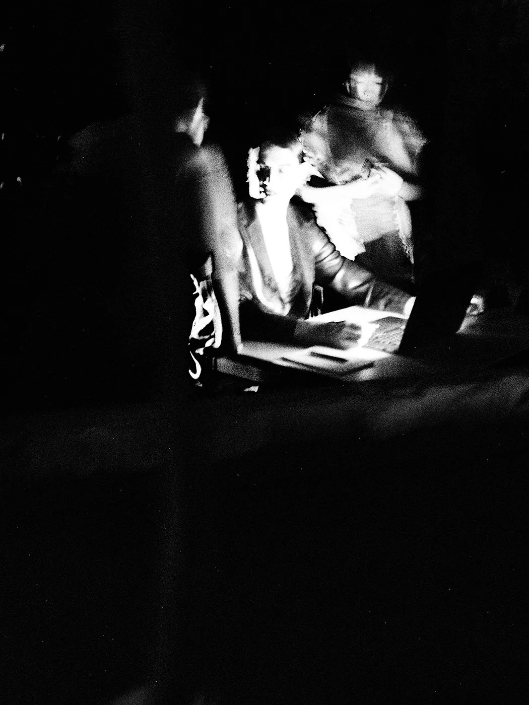 DIPTYCH - PLURAL FIELDS PT. 1