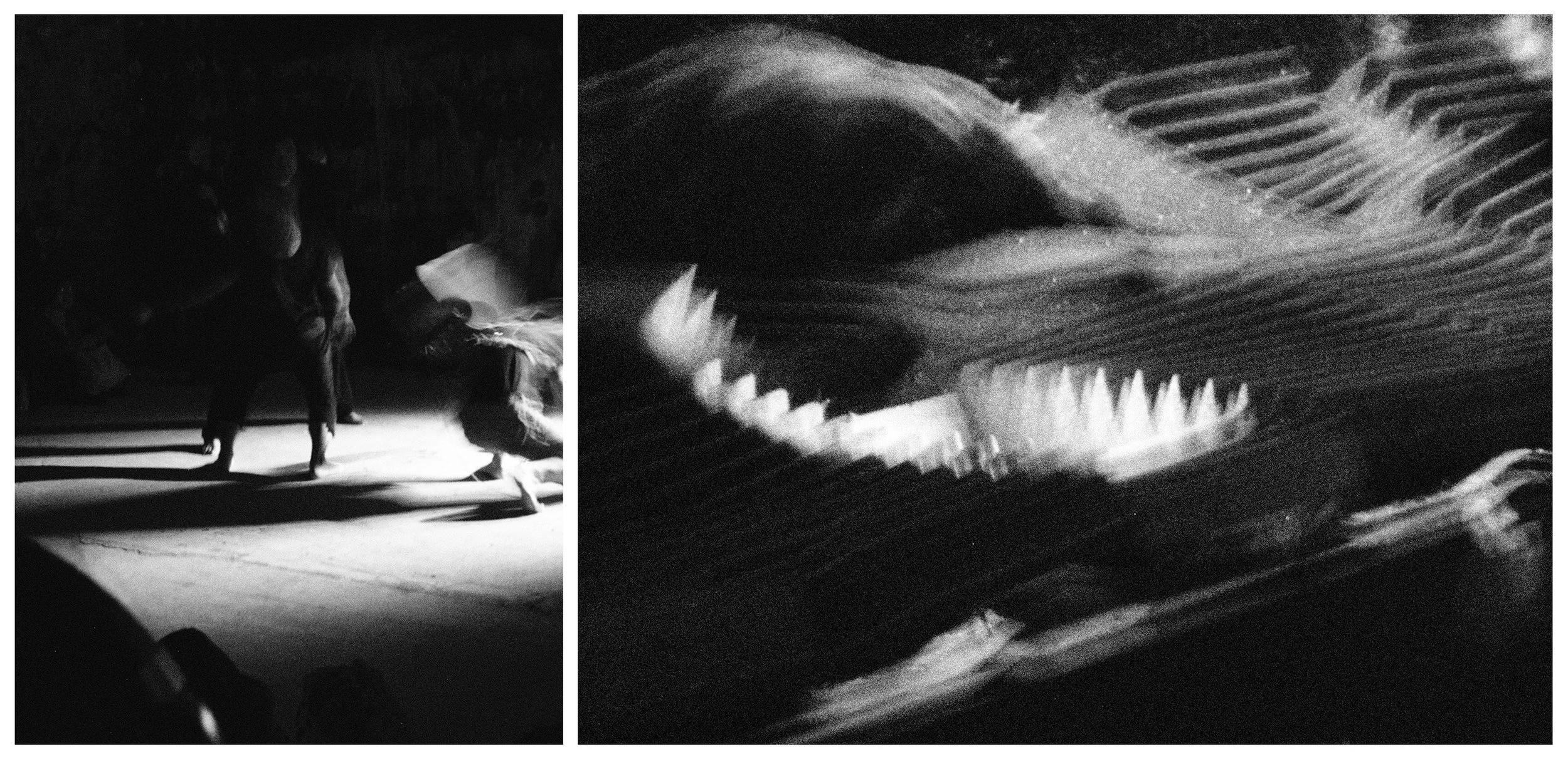 DIPTYCH - PLURAL FIELDS