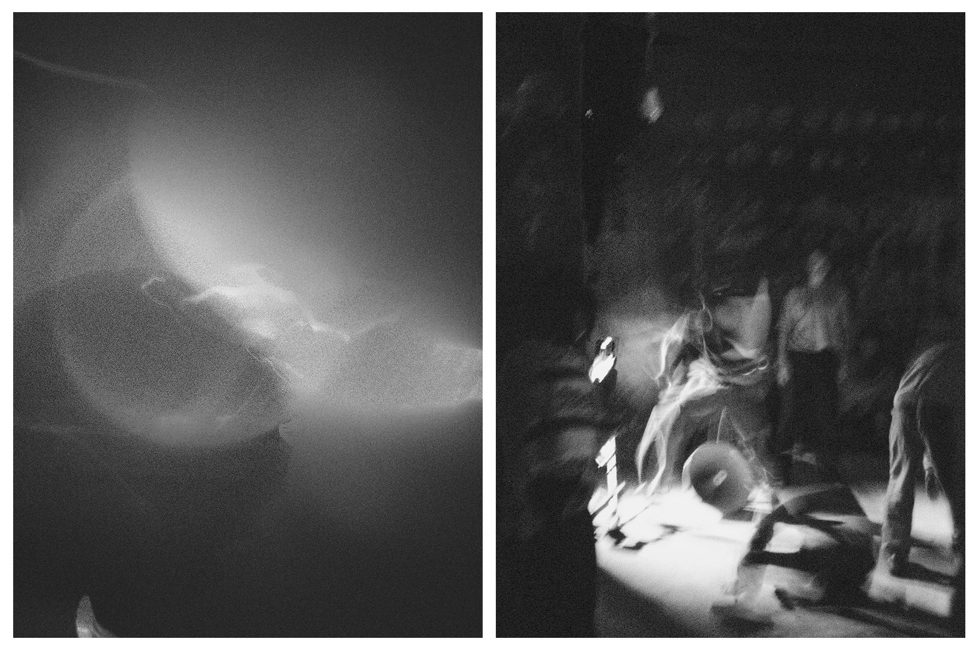 DIPTYCH - PLURAL FIELDS