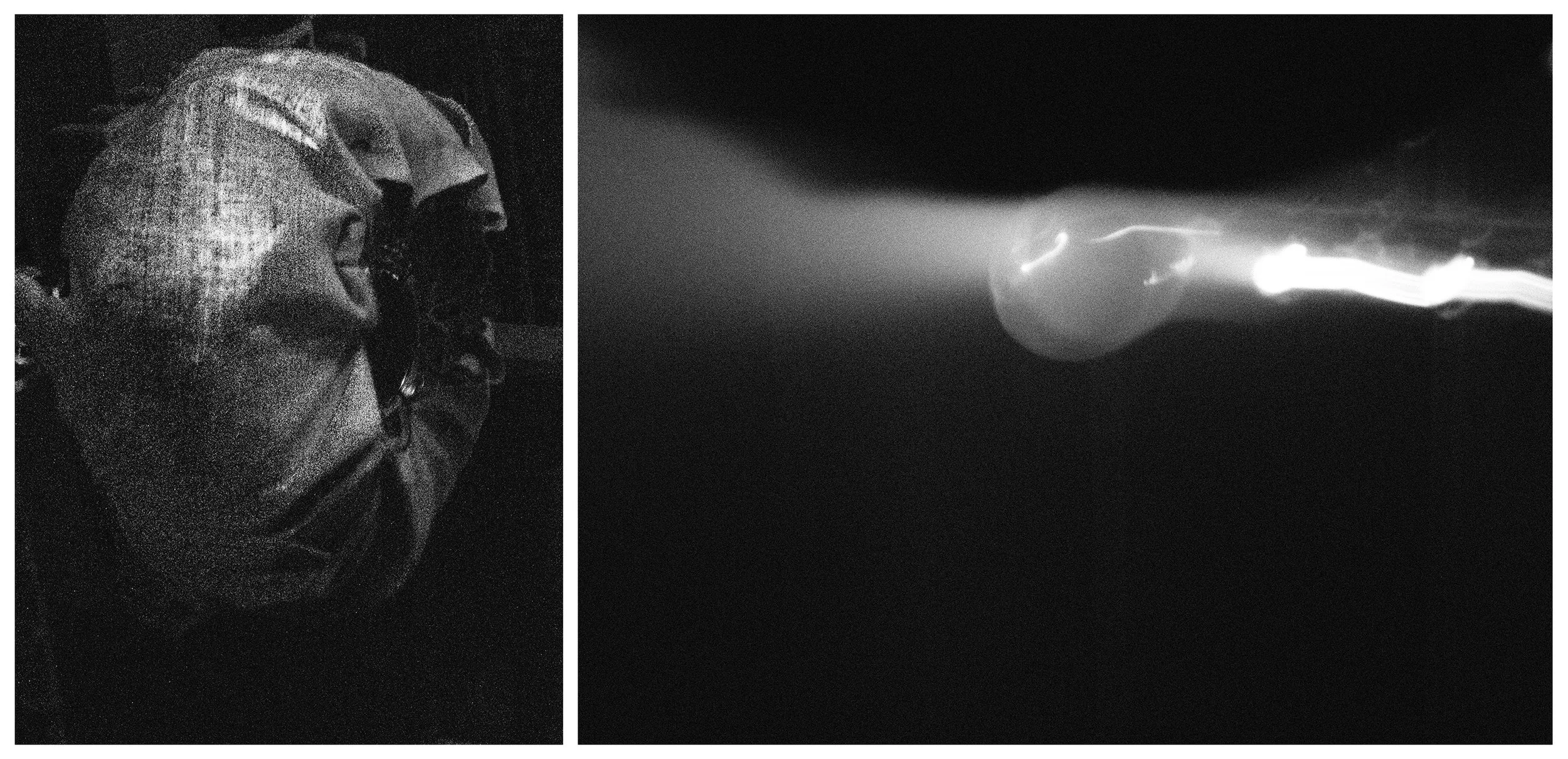 DIPTYCH - PLURAL FIELDS