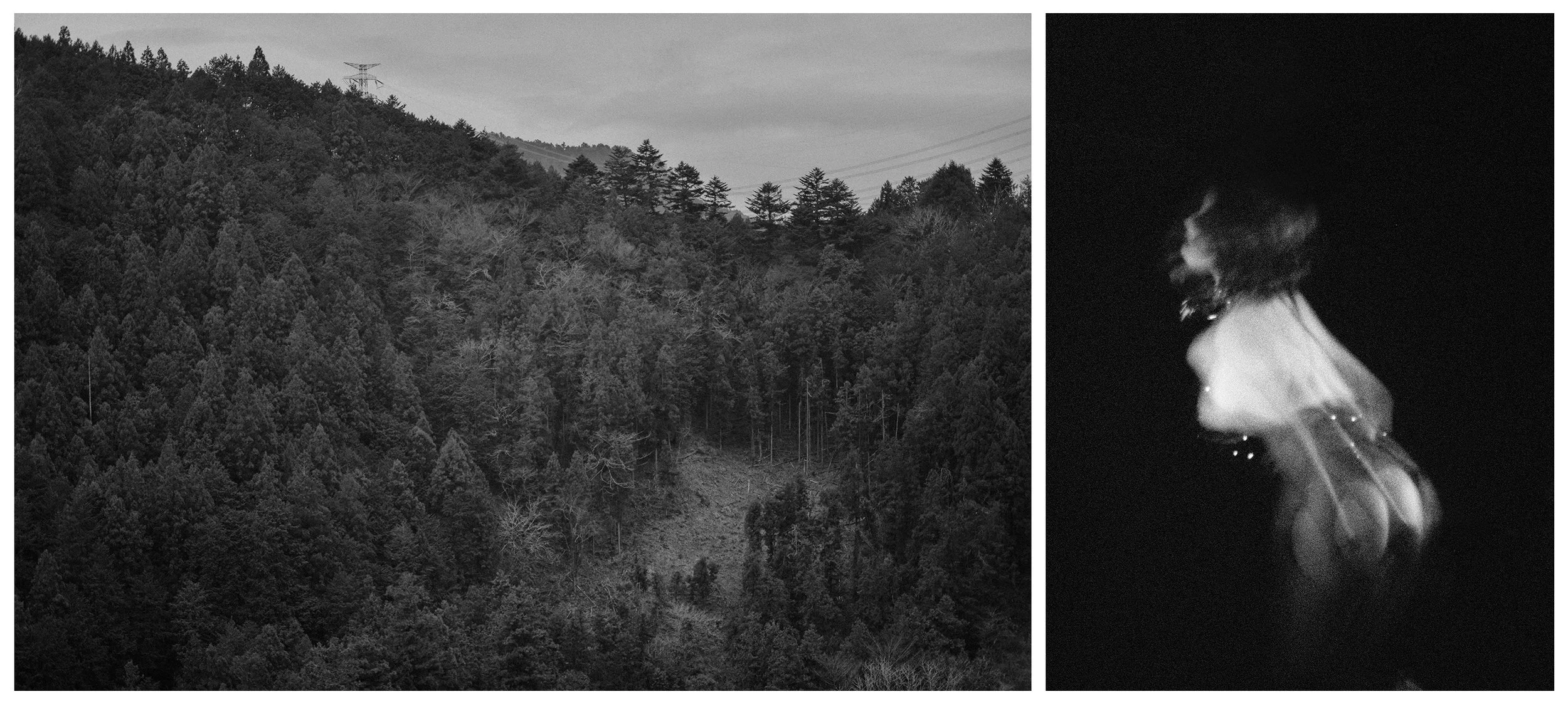 FALL VALLEY / NIGHTBIRD