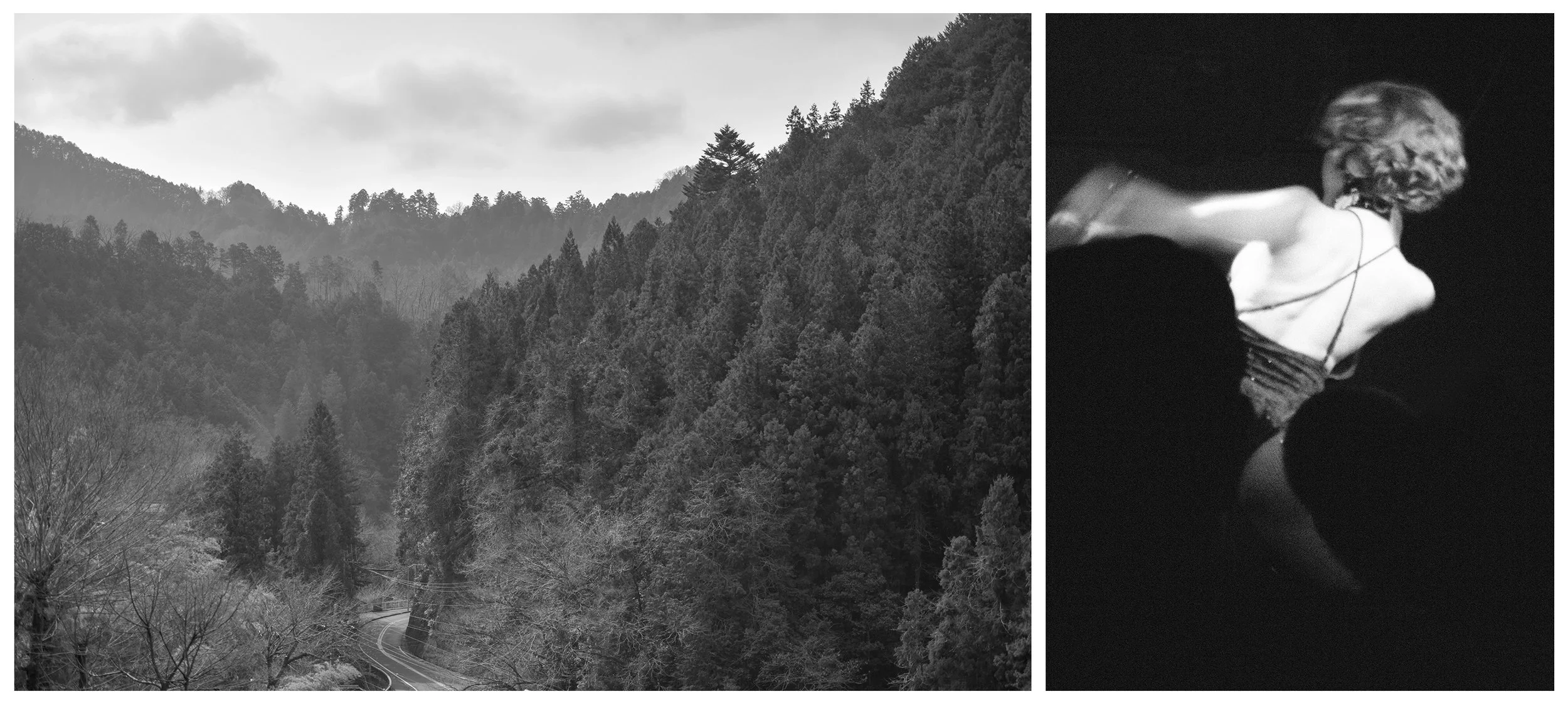 FALL VALLEY / NIGHTBIRD