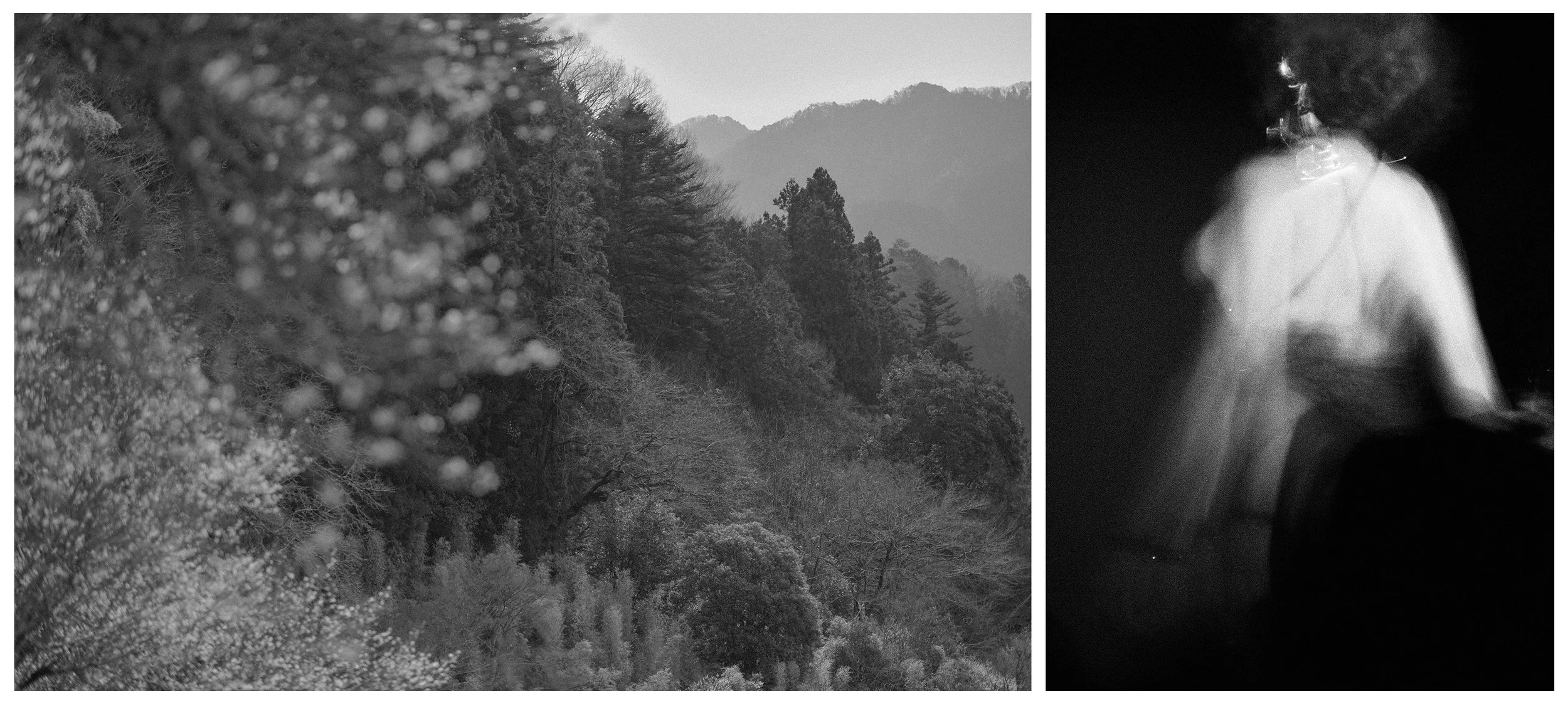 FALL VALLEY / NIGHTBIRD