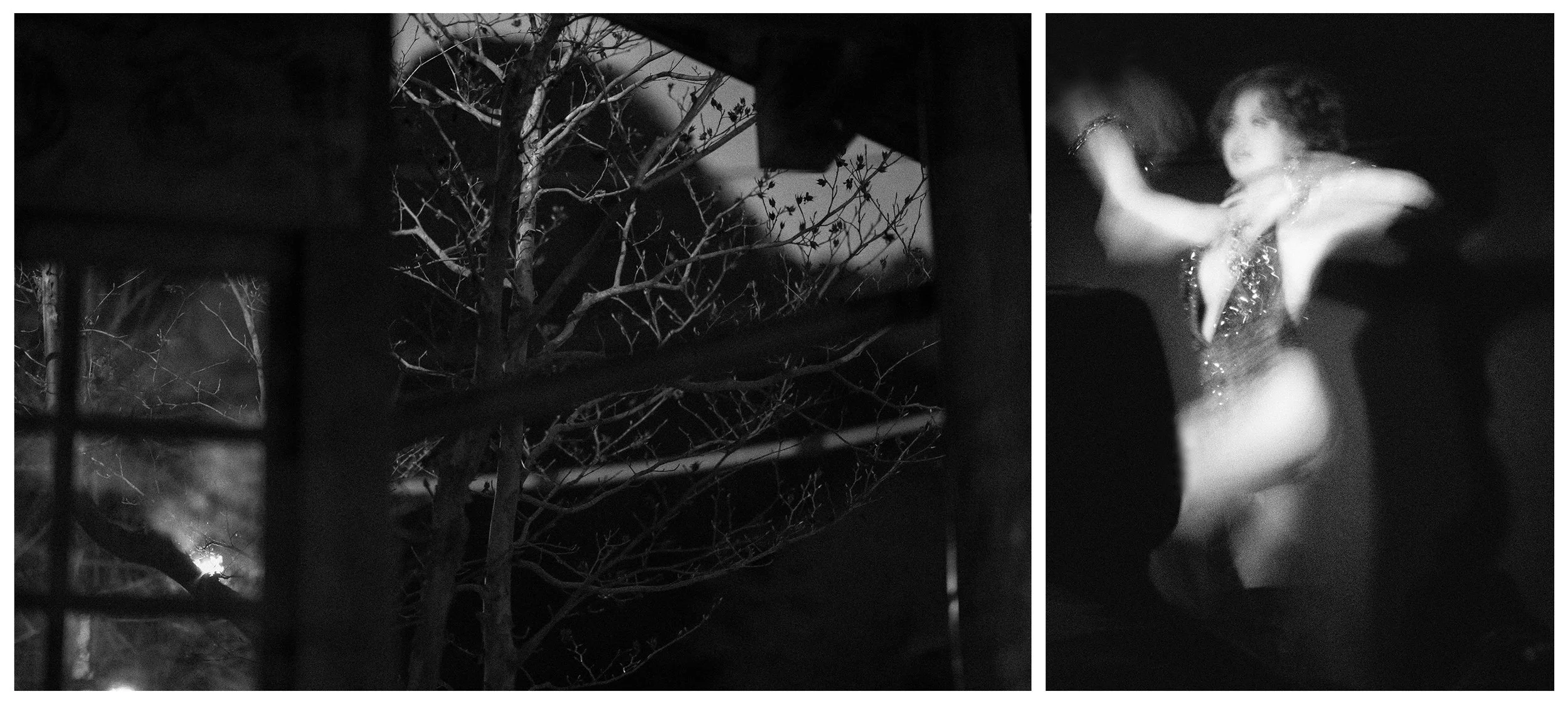 FALL VALLEY / NIGHTBIRD