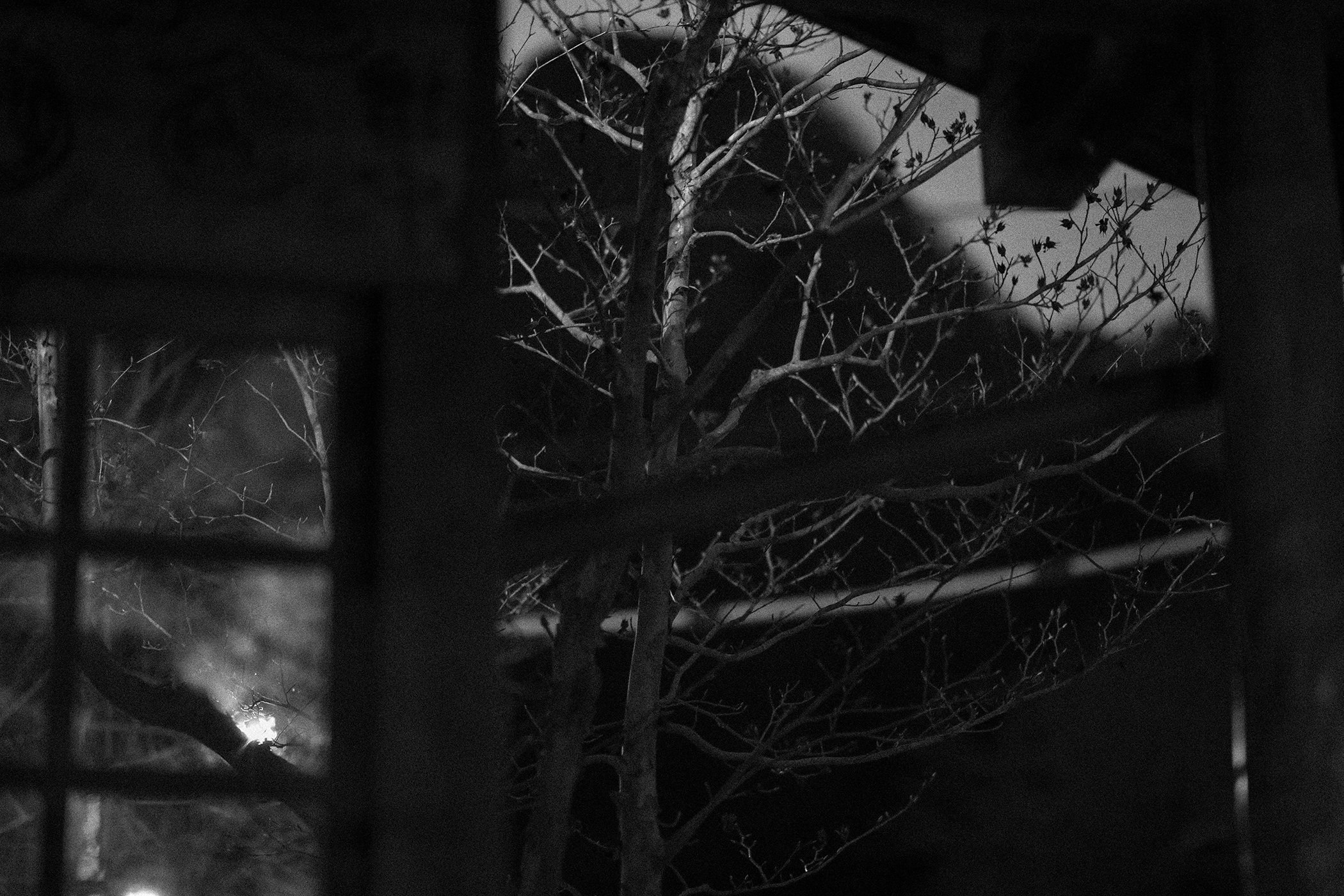 FALL VALLEY / NIGHTBIRD PT. 1