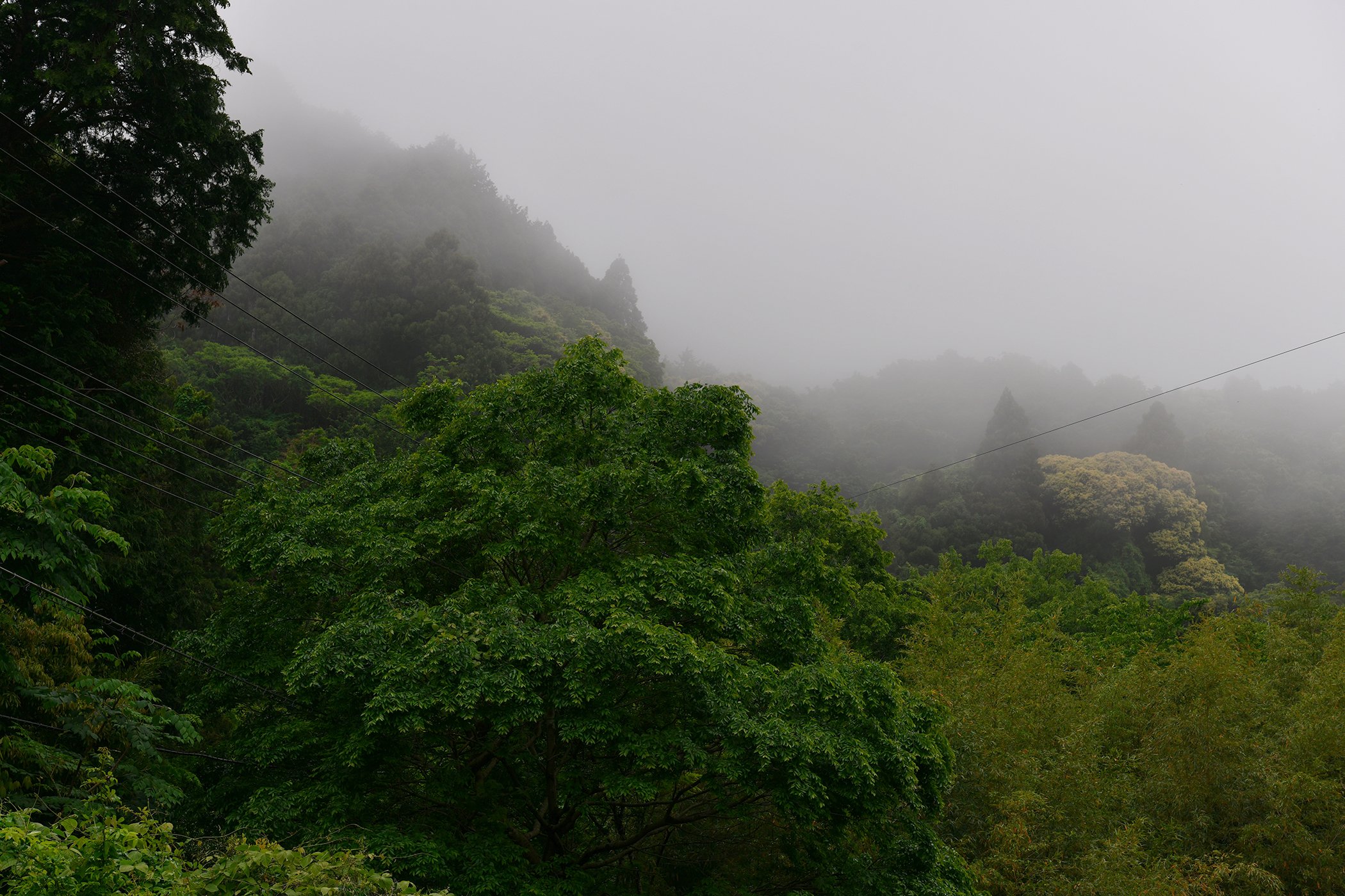FALL VALLEY / LODGE
