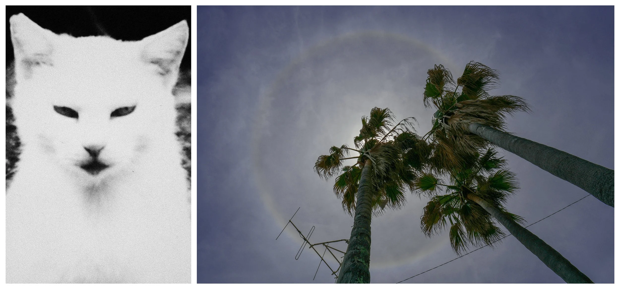 DIPTYCH - THE SHELTERING SKY
