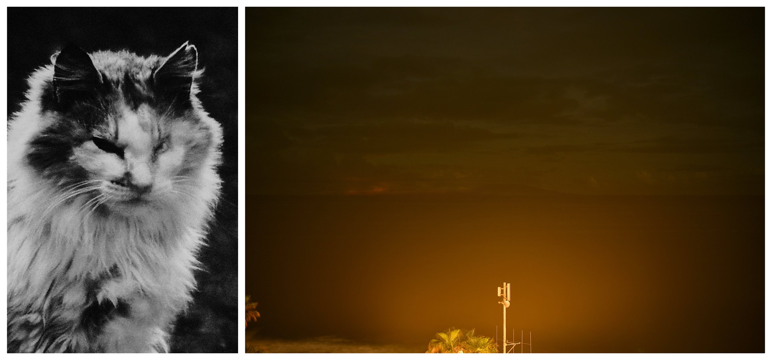 DIPTYCH - THE SHELTERING SKY