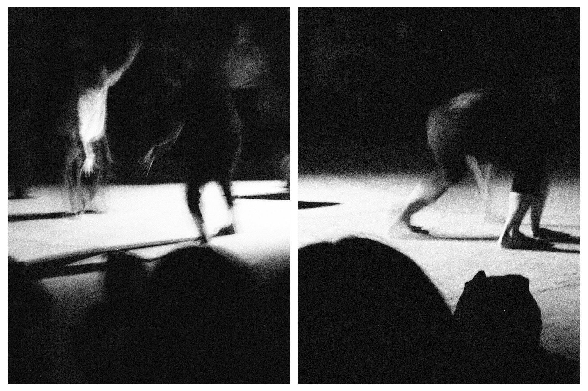 DIPTYCH - PLURAL FIELDS