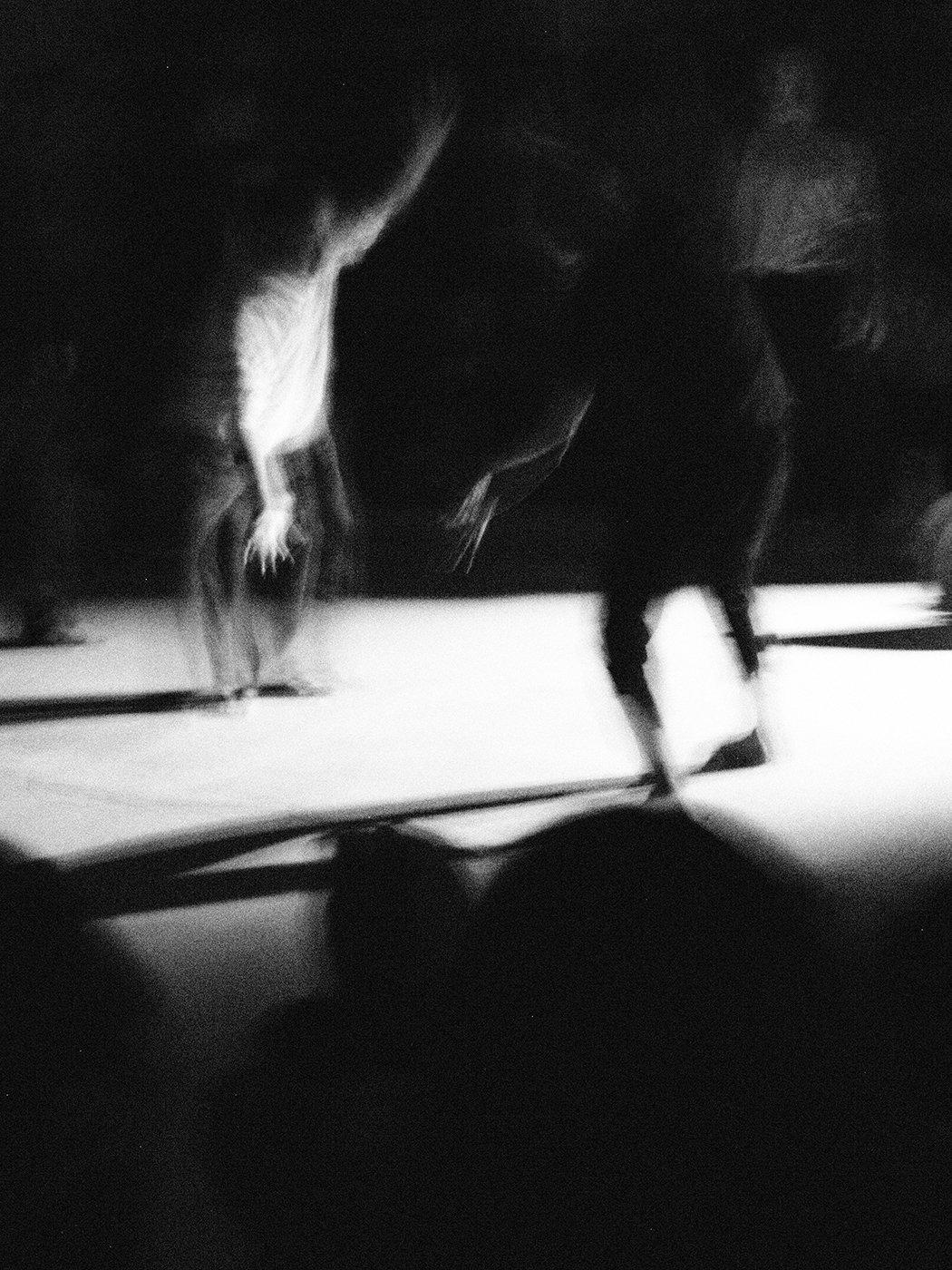 DIPTYCH - PLURAL FIELDS PT. 1