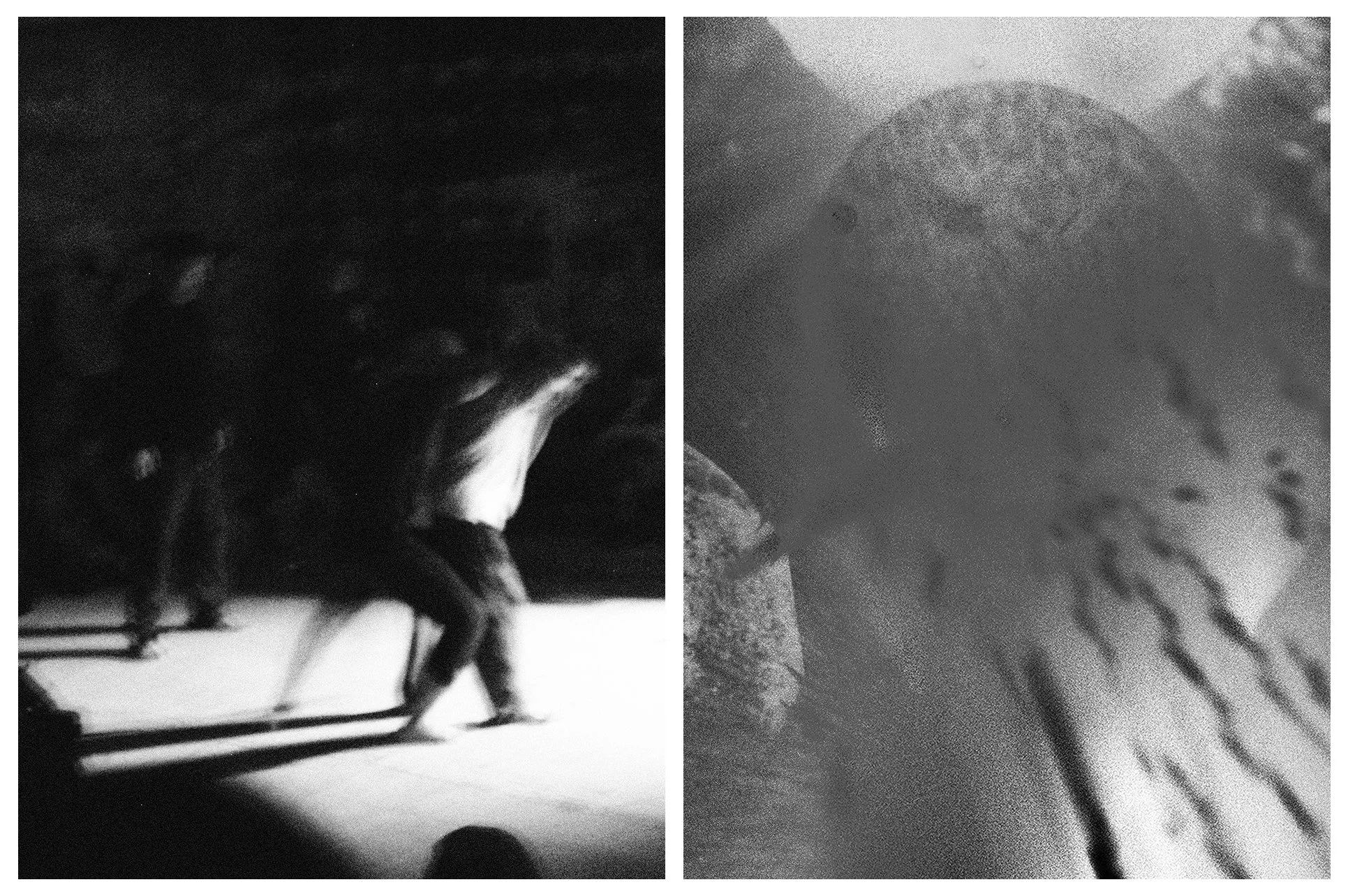 DIPTYCH - PLURAL FIELDS