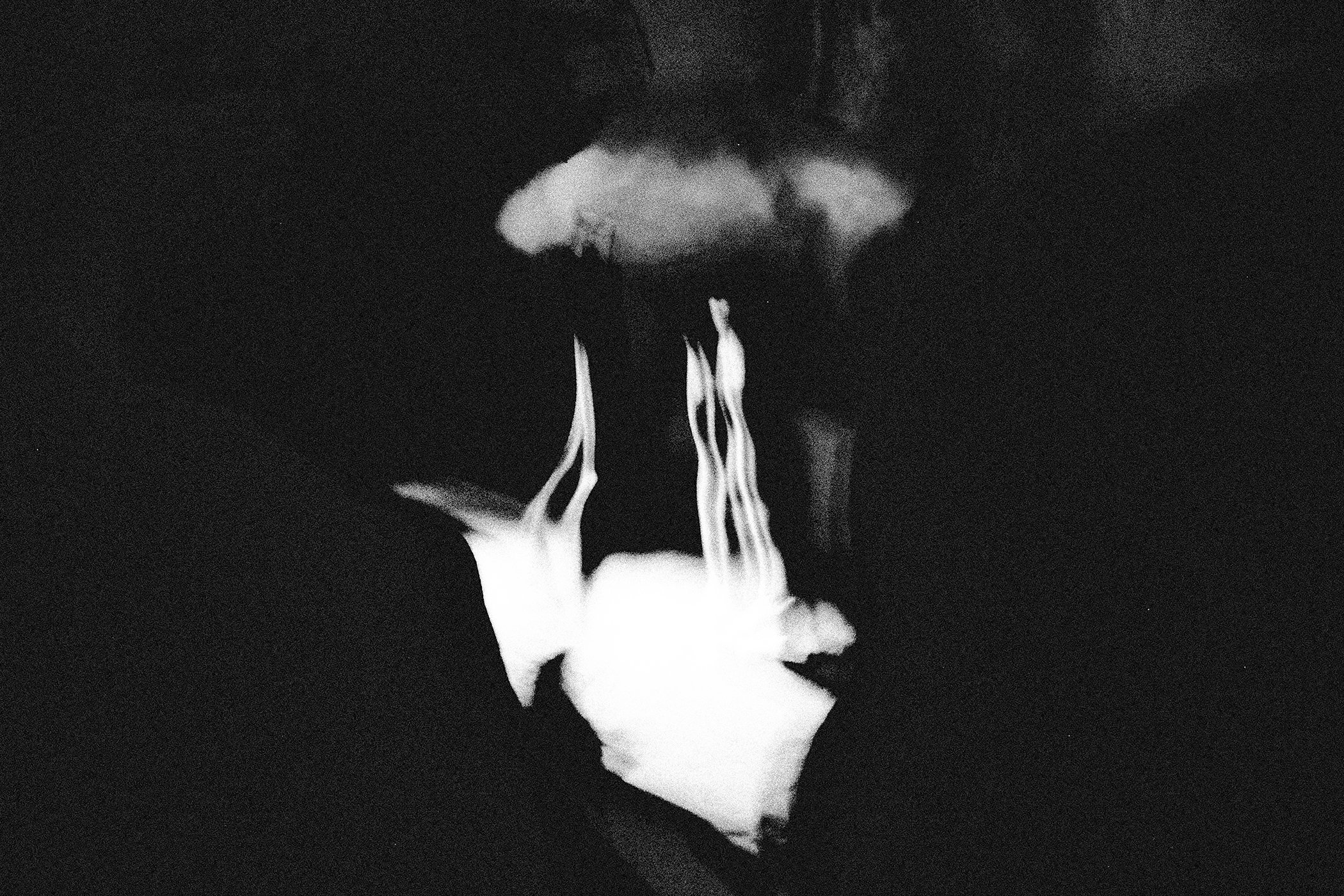 DIPTYCH - CRASH PT. 1