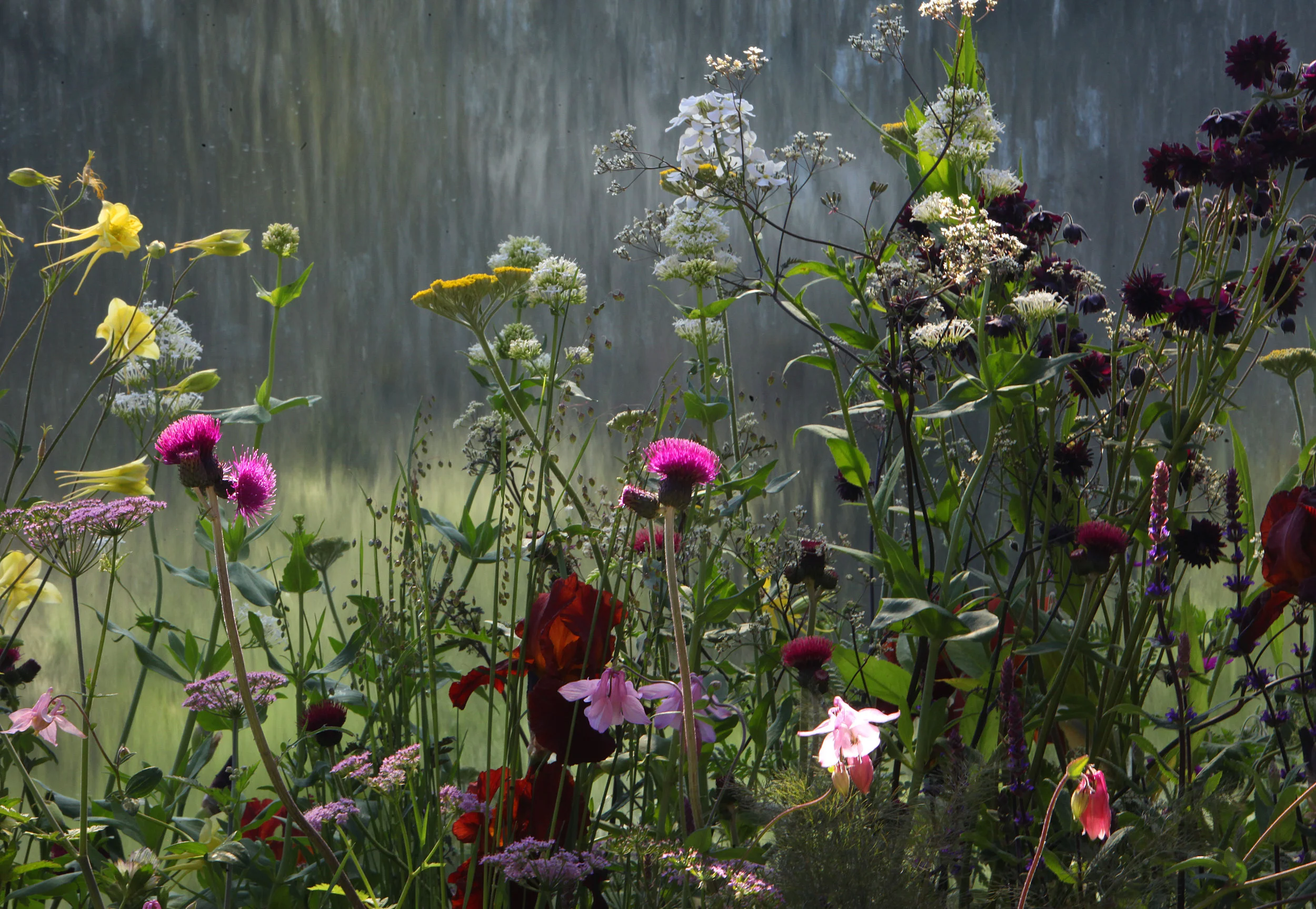 RNIB Chelsea Flower Show Fresh Garden