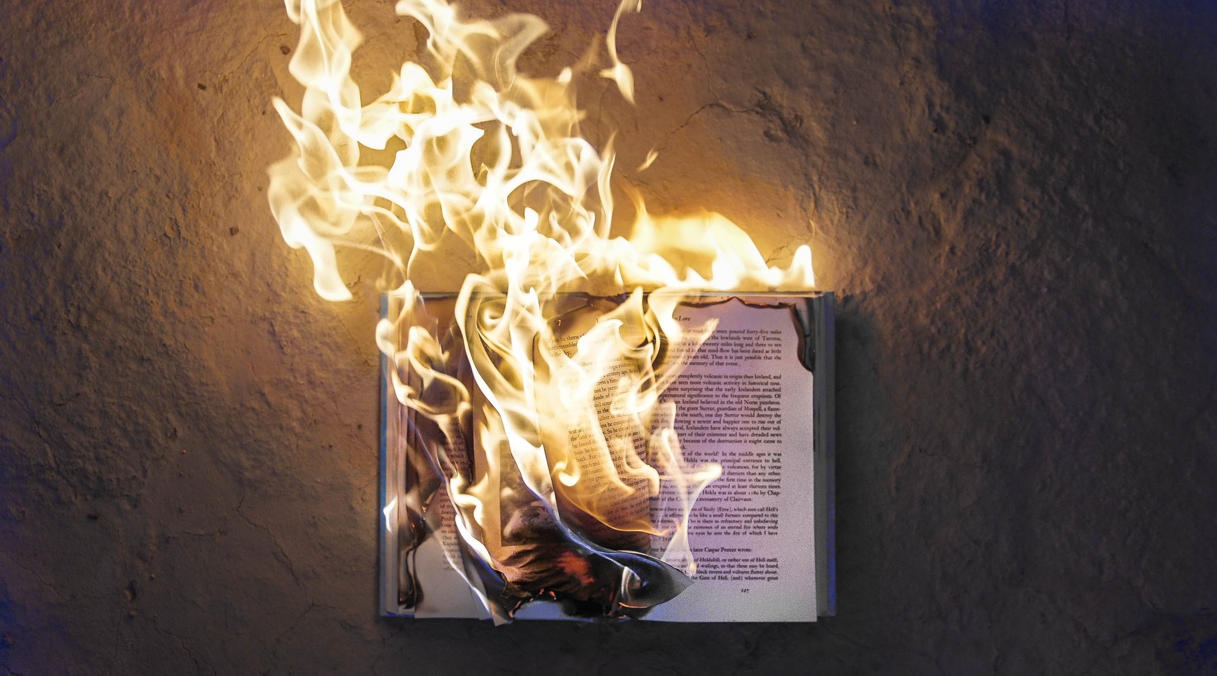 A developmental editor’s measured, careful approach to your manuscript