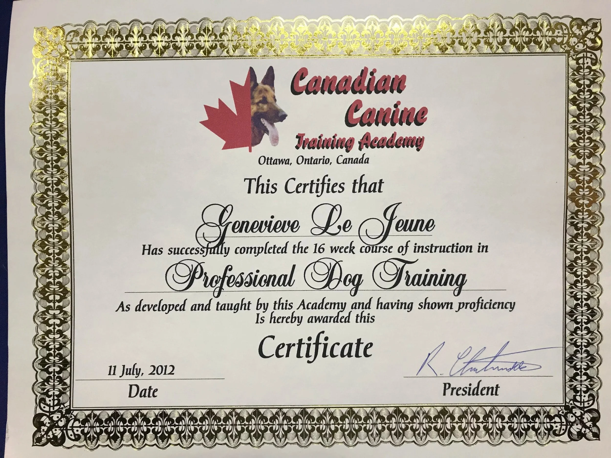 CCTA+Certificate.jpg