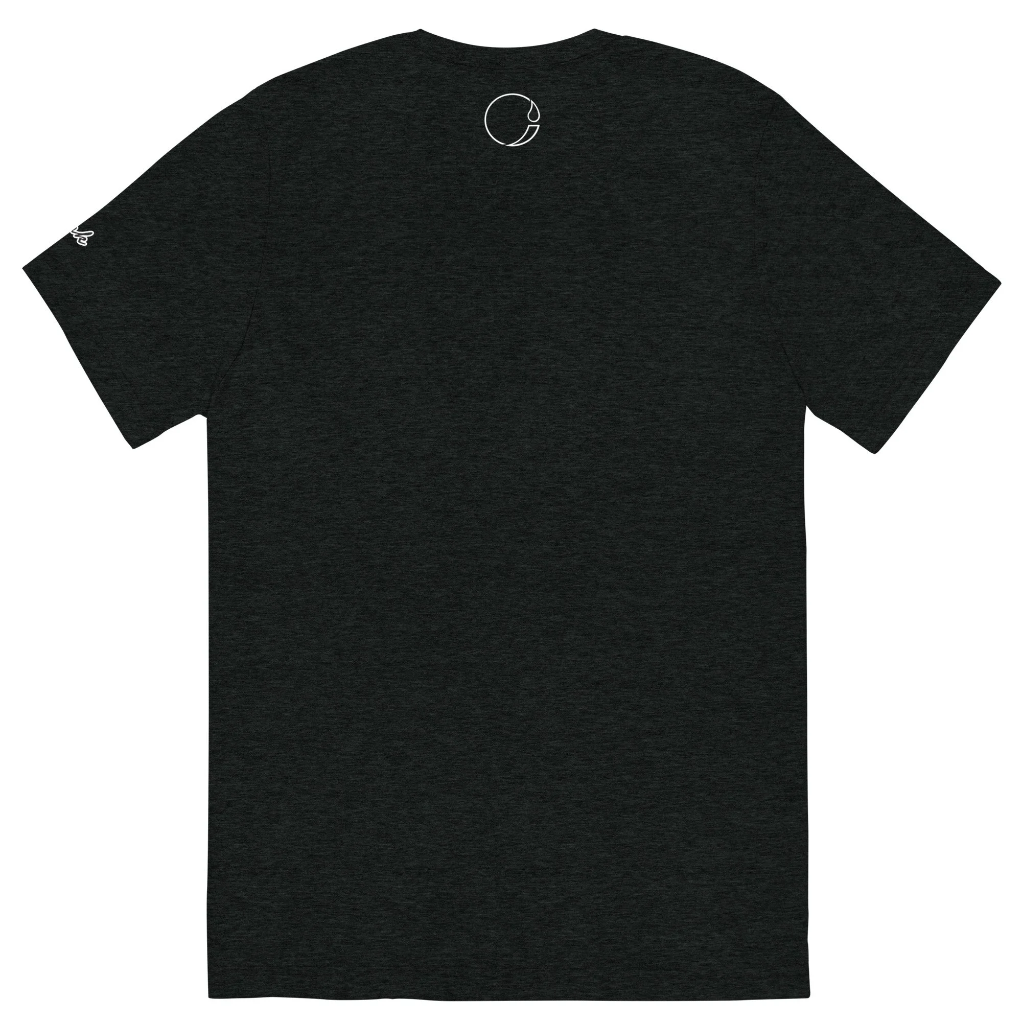 unisex-tri-blend-t-shirt-charcoal-black-triblend-back-69fe0d450bc30.jpg
