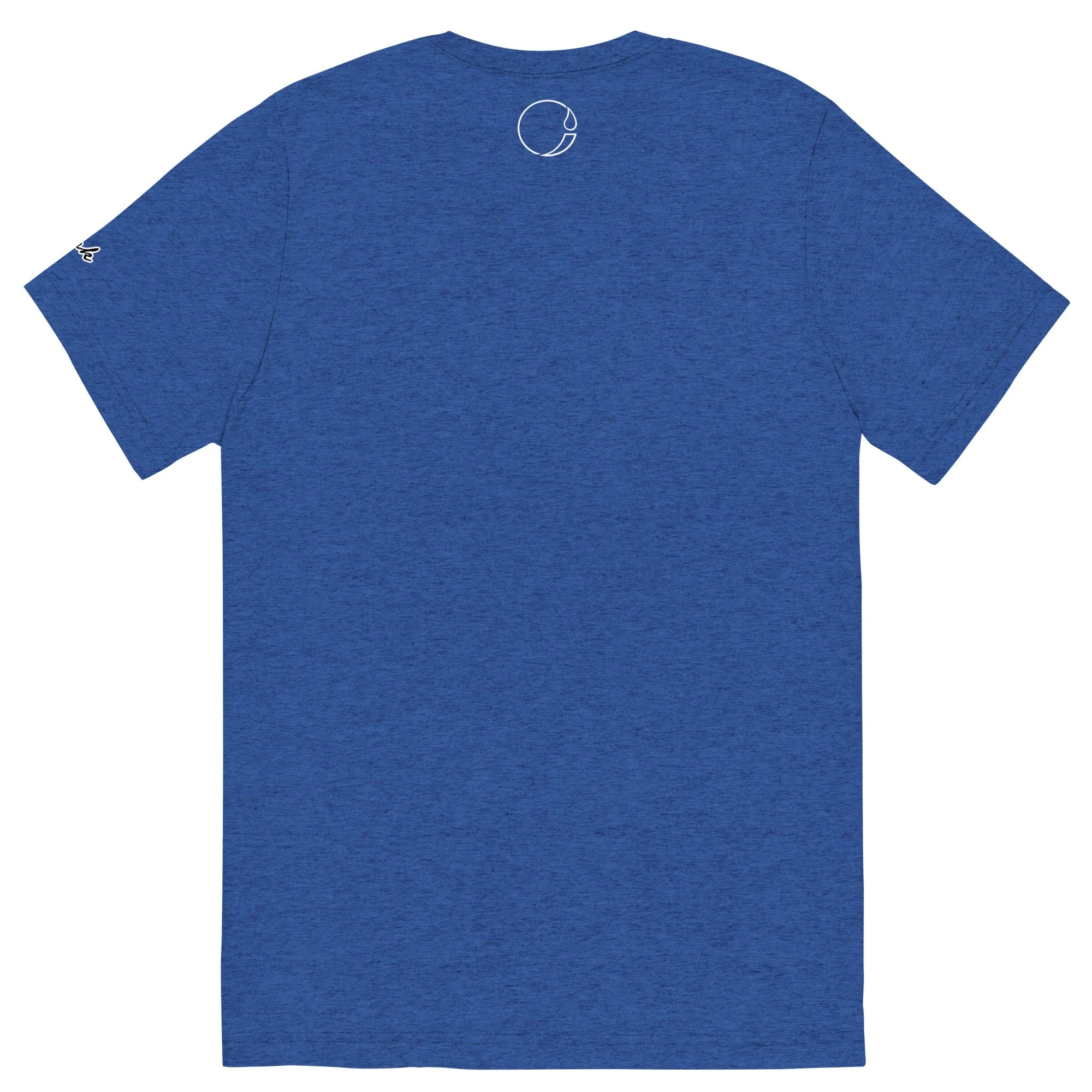 unisex-tri-blend-t-shirt-true-royal-triblend-back-69fe0d4516a0f.jpg