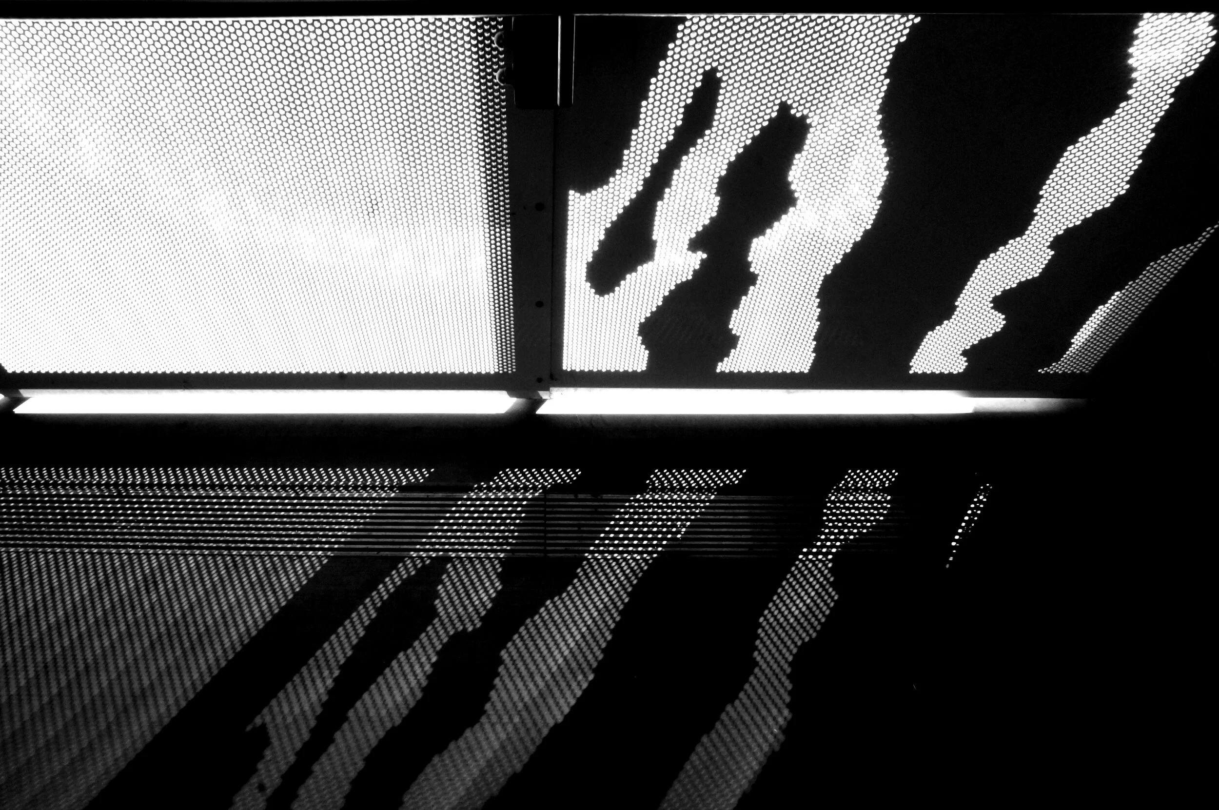 DSC09922-BW.jpg
