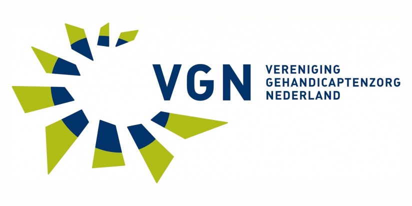 Logo VGN.jpg