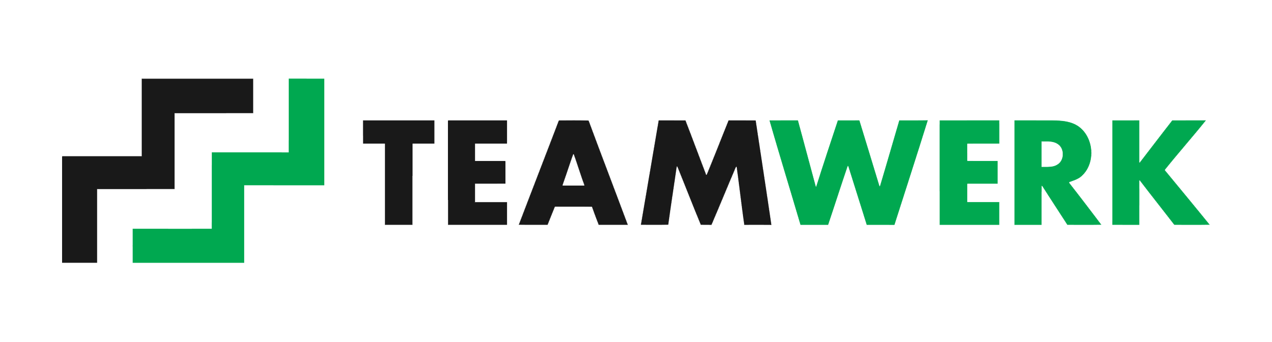 Teamwerk-Logo-EPSkopiekopiekopie1.png