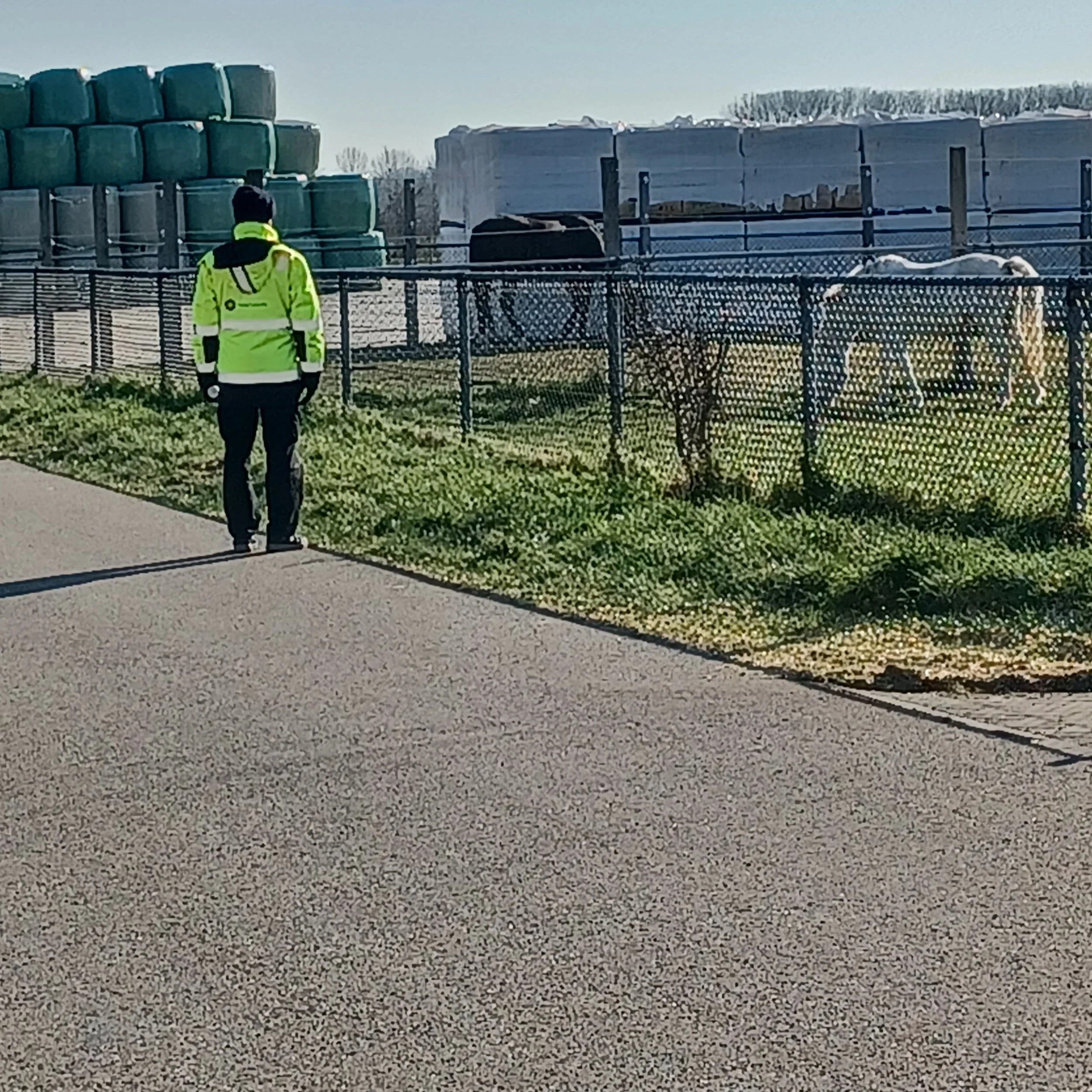 #houhetindegatenheld