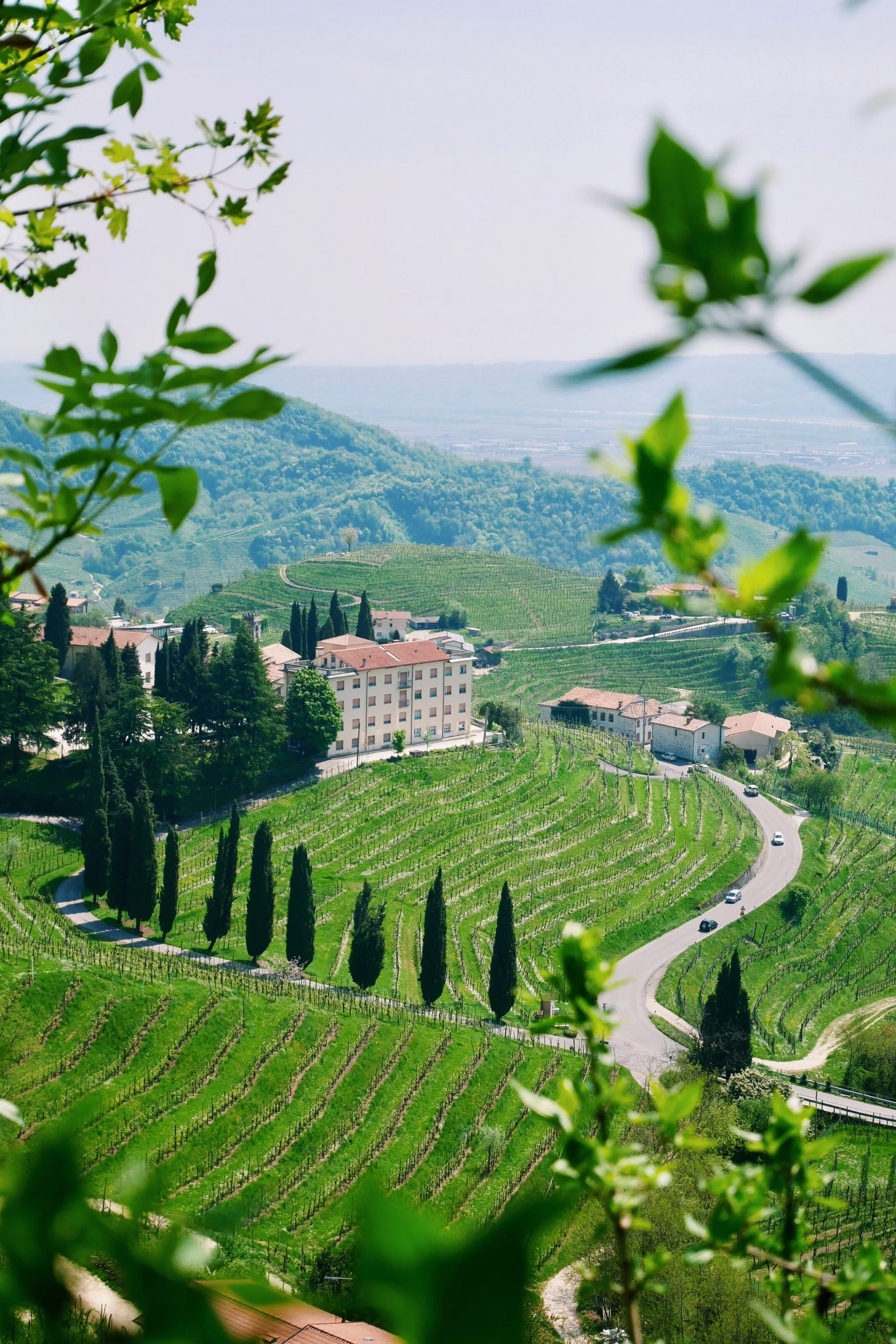 EC9497B5-E828-4336-91F8-0CD0F5AFACF2 (1).JPG