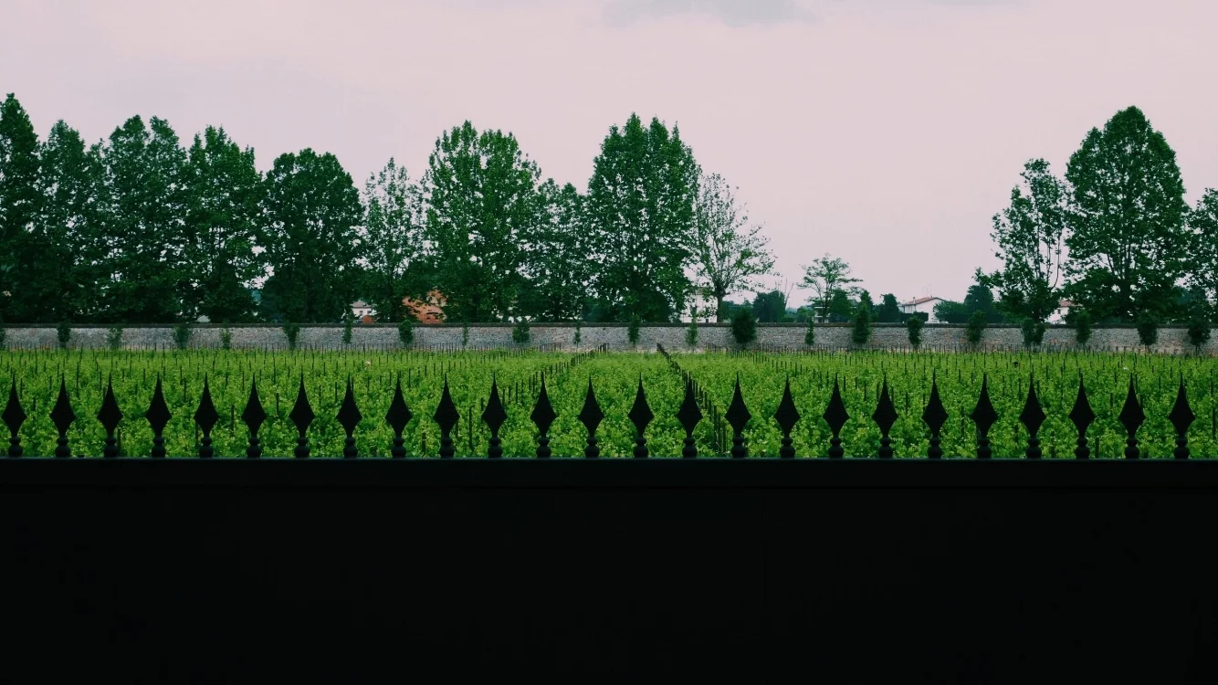 Fence 16x9.jpg