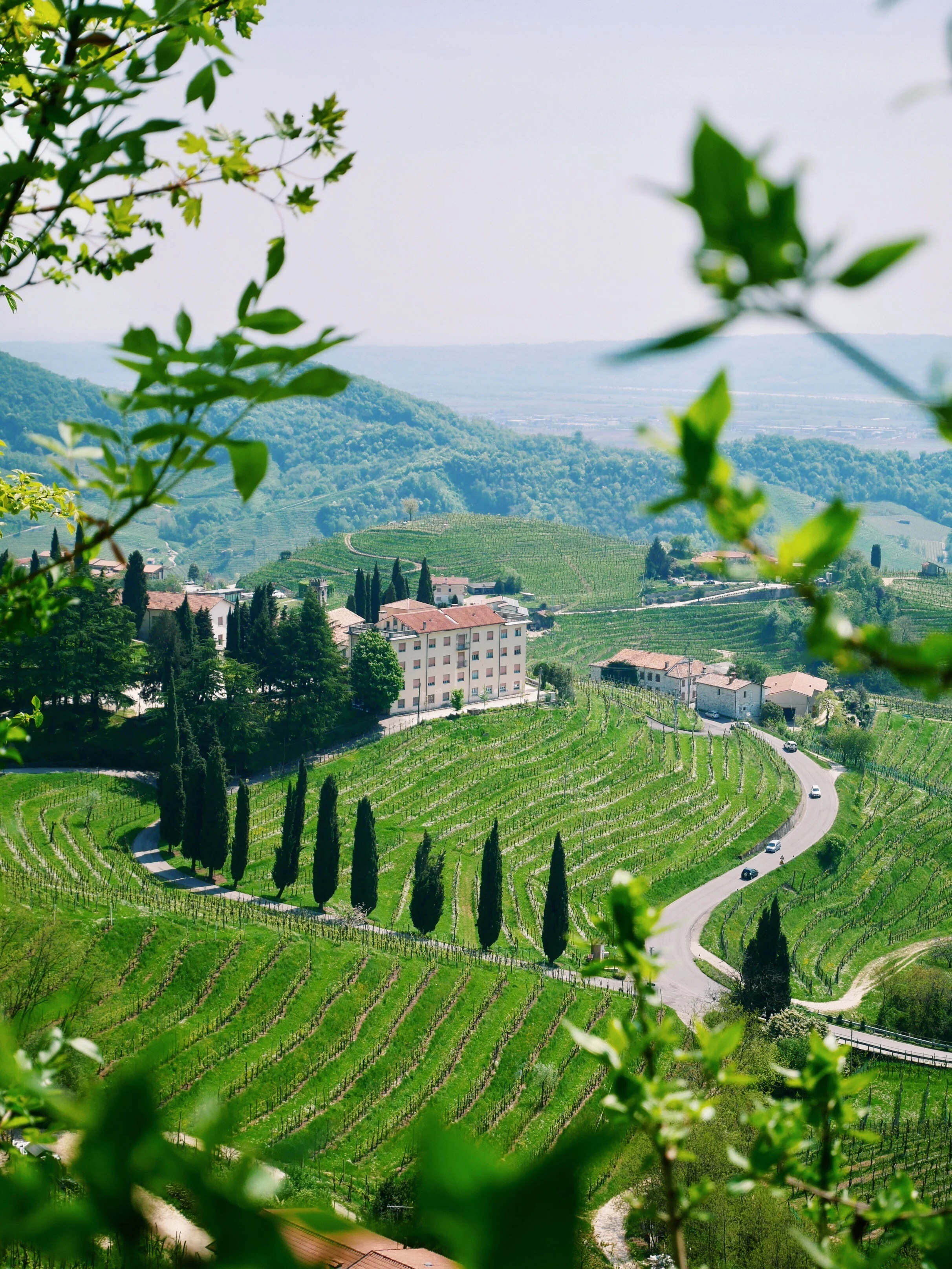 Quirky Stops Along the "Strada del Prosecco"
