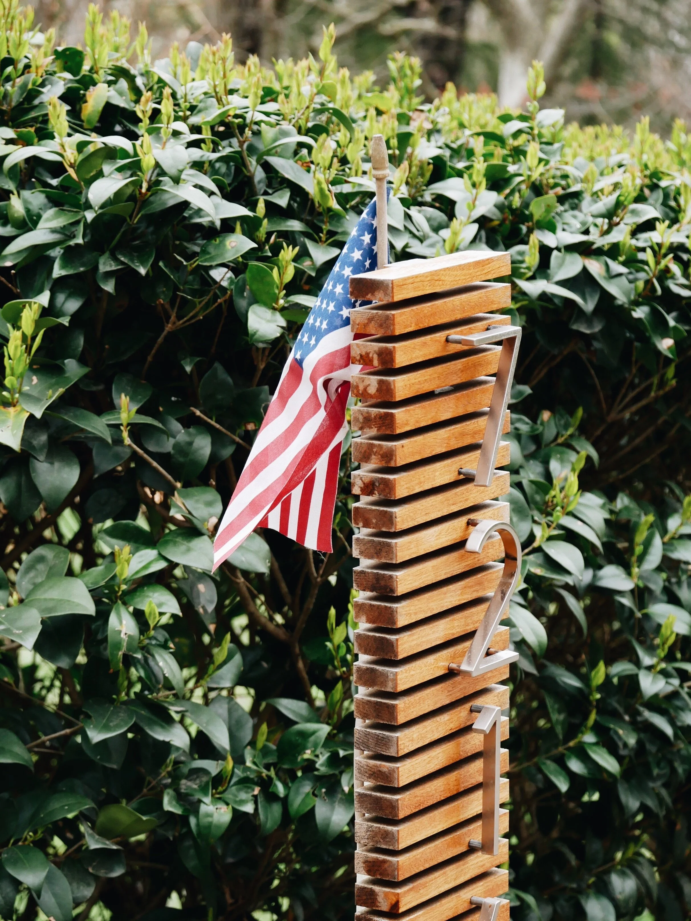 F9A8AE71-ECDD-42B1-BD54-5B9CA4CF464B (1).JPG