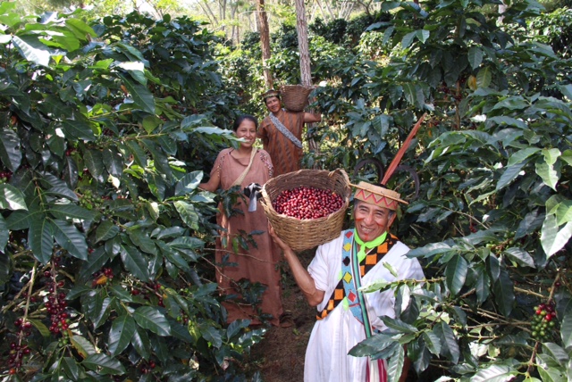 Partners — Circular Coffee Fund