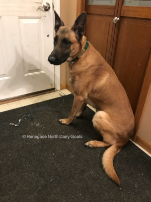 Archer - 2/17/2018