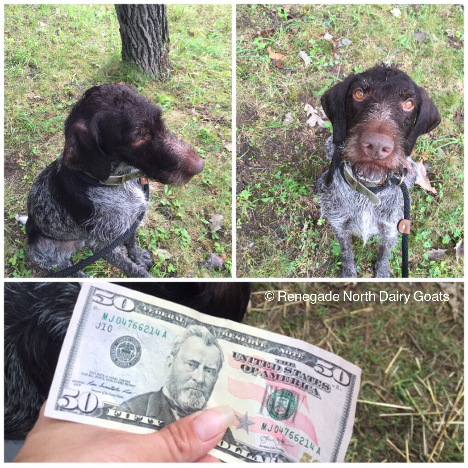 Game Fair 8/20/16 Splash for Cash - daily winner of $50 (only allowed to win once)