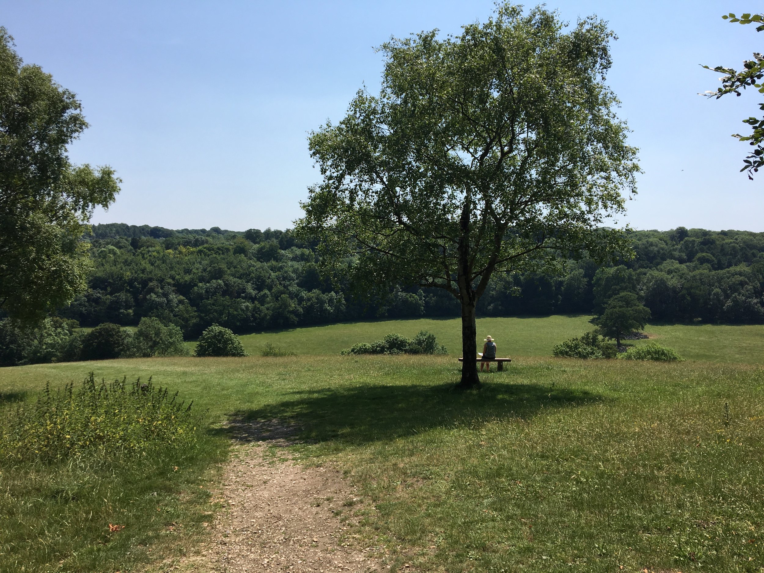 English Countryside 