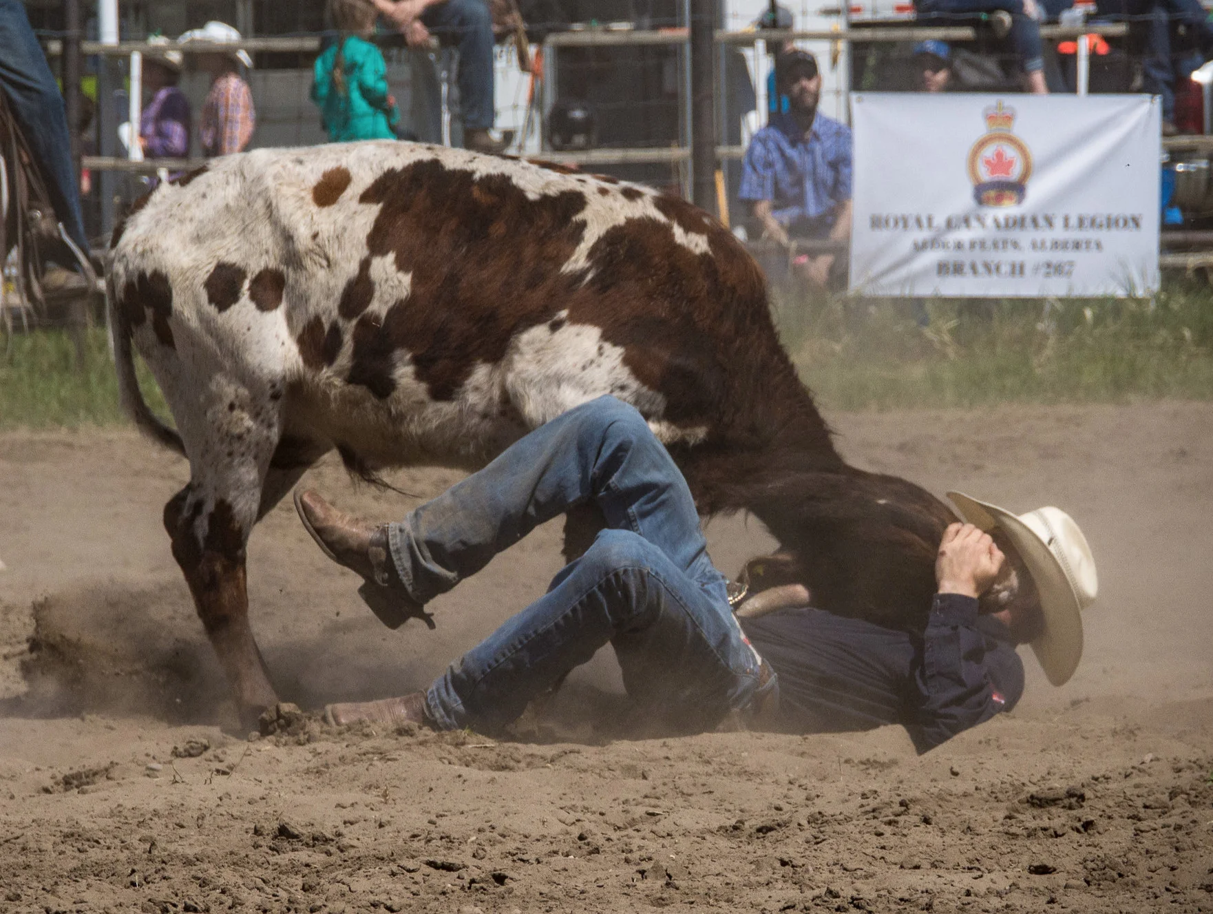 Alder Flats Rodeo & Racemeet 2018, Photo credit Kathy Schwengler