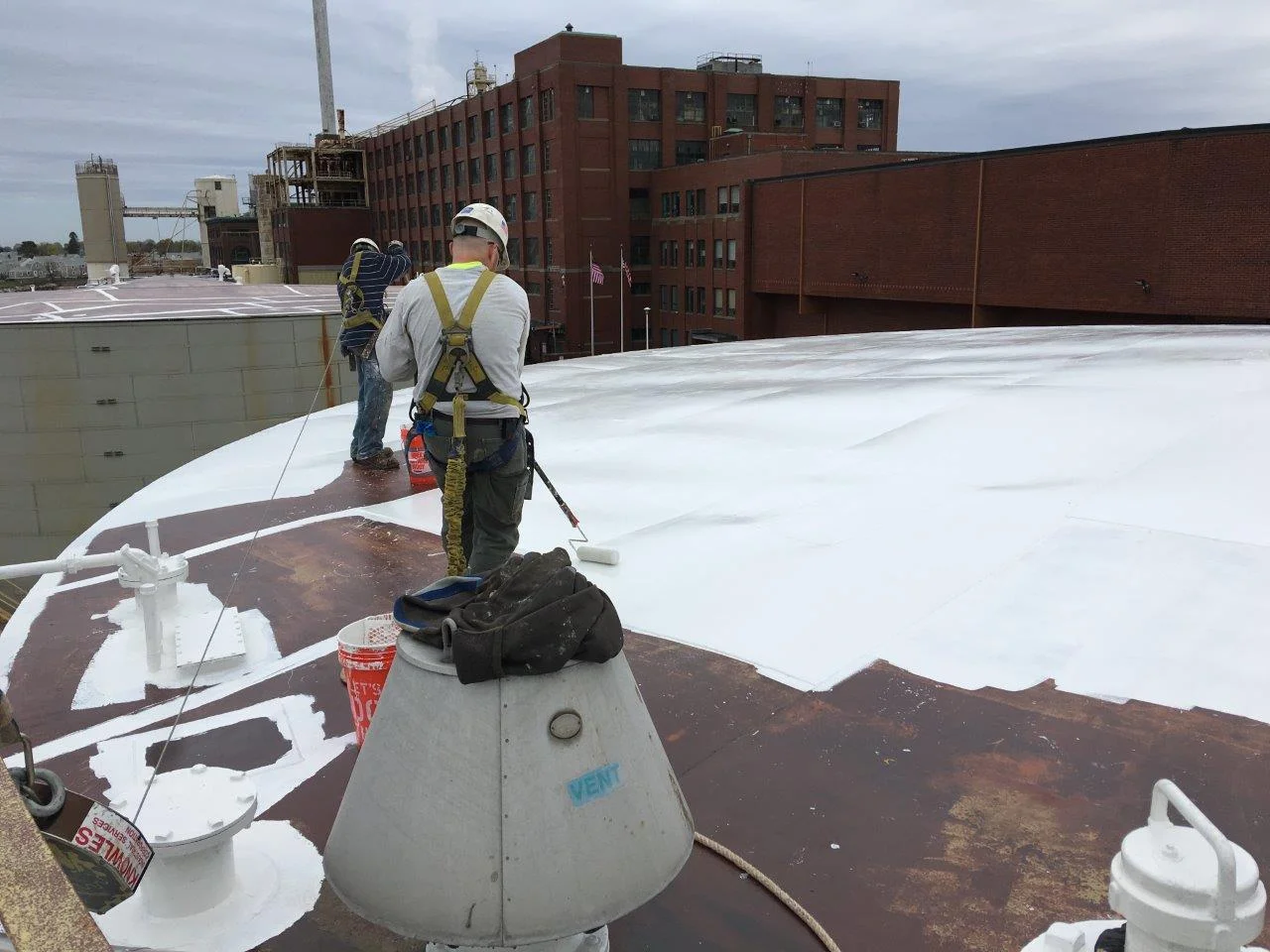 2016-04-25 11.52.20.jpg