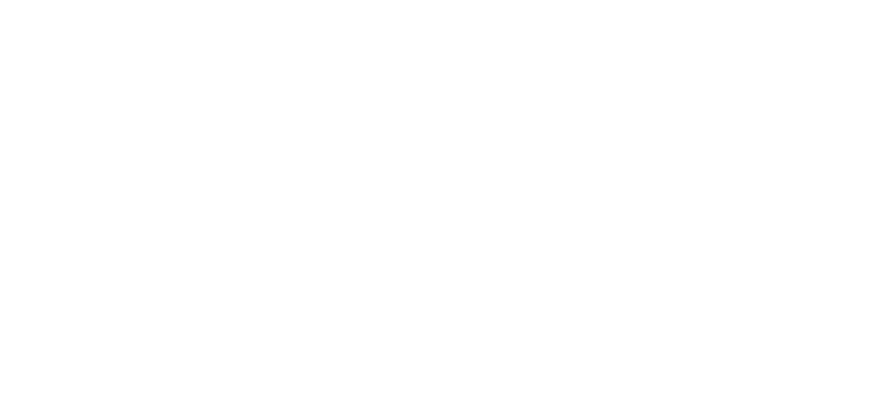 digital_excellence_logo_white.jpg