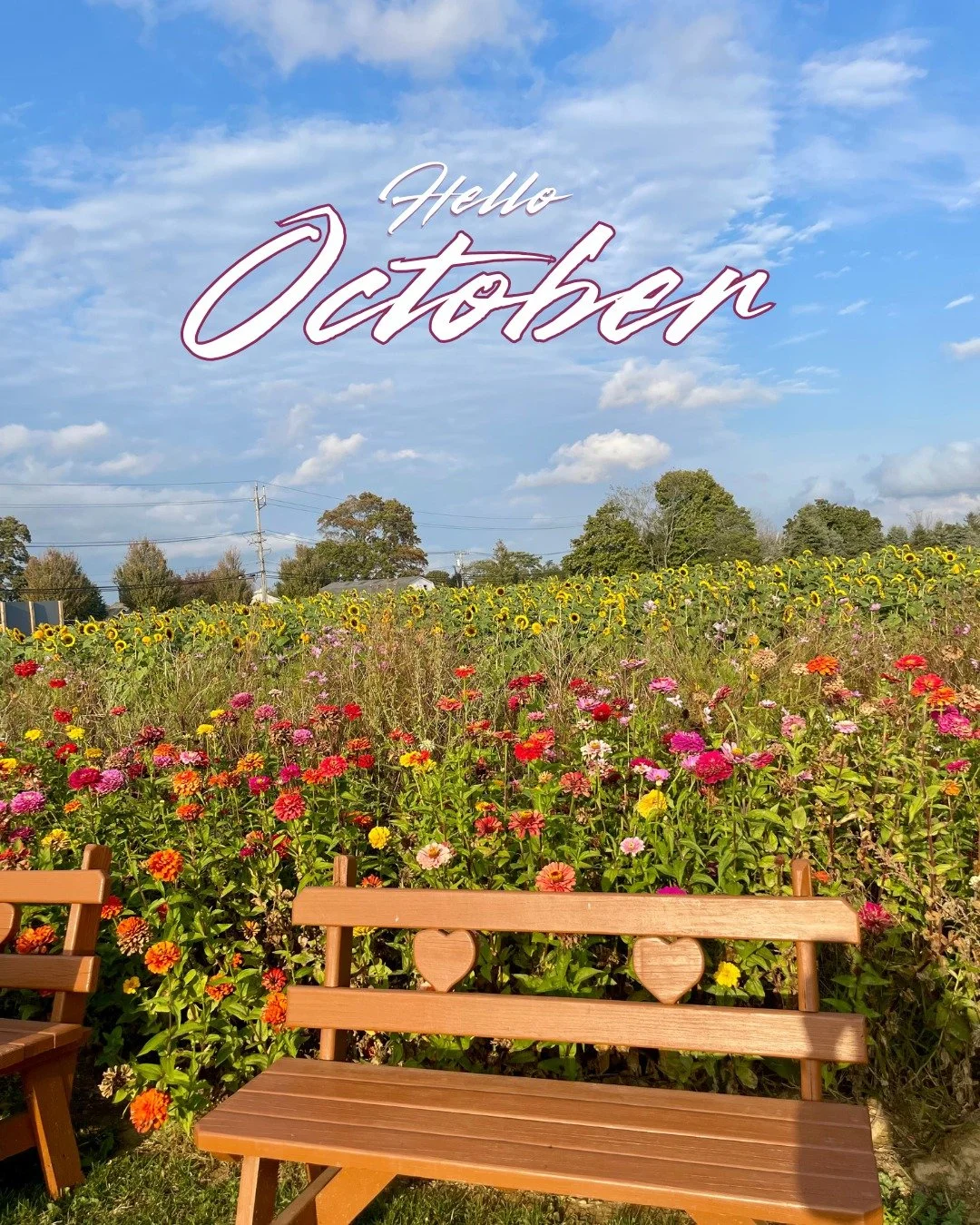 Hello October!
.
.
.
.
#BarbaraQuaranta #Compass #CompassNewYork #RealEstate #RealEstateNewYork