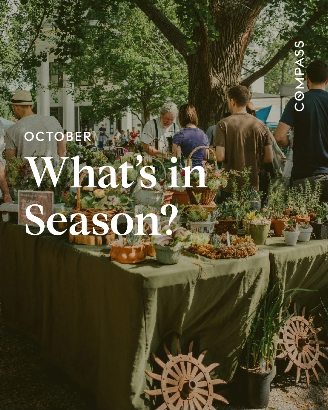 🍁 October Harvest: What&rsquo;s in Season Right Now
Fall flavors are at their peak, and October brings some of the best local produce of the year! 🧺 Whether you&rsquo;re planning cozy dinners, fall d&eacute;cor, or nourishing meals, here&rsquo;s wh