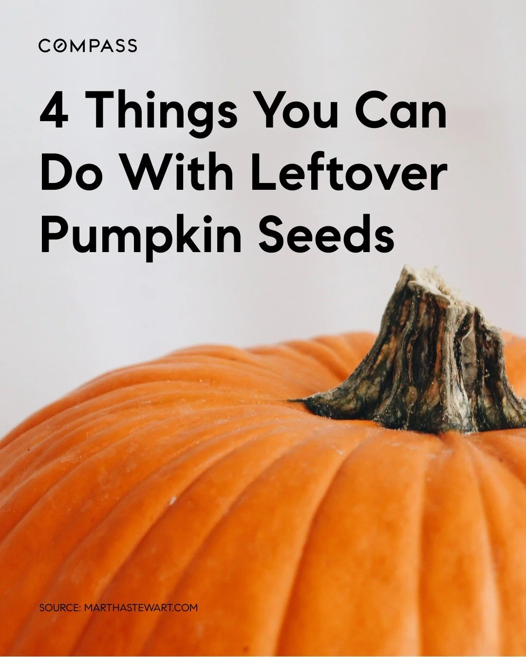 🎃 4 Smart (and Sustainable!) Things You Can Do With Leftover Pumpkin Seeds
Don&rsquo;t toss those pumpkin seeds &mdash; turn them into something beautiful, delicious, or even green-thumb worthy! 🌱
1️⃣ Preserve for Planting:
Clean, dry, and wrap you