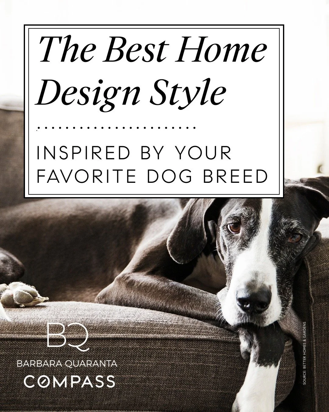 The Best Home Design Style
&bull;&bull; &bull; &bull; &bull; &bull; &bull; &bull; &bull; &bull; &bull; &bull; &bull; &bull; &bull; &bull; &bull; &bull; &bull; &bull; &bull; &bull; &bull; &bull;
INSPIRED BY YOUR FAVORITE DOG BREED
Regencycore
CORGI
&b
