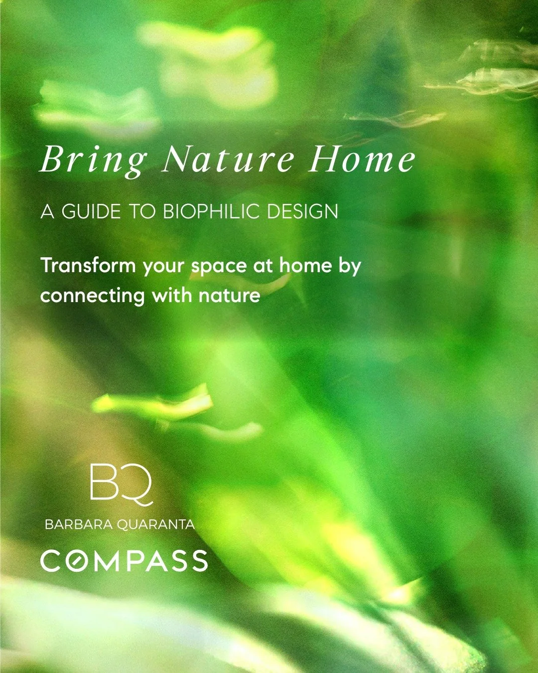 Bring Nature Home: A GUIDE TO BIOPHILIC DESIGN
Transform your space at home by connecting with nature

Add Greenery
Use Natural Materials
Maximize Natural Light
A Holistic Vision

Whether refreshing your current space or searching for a home that sup