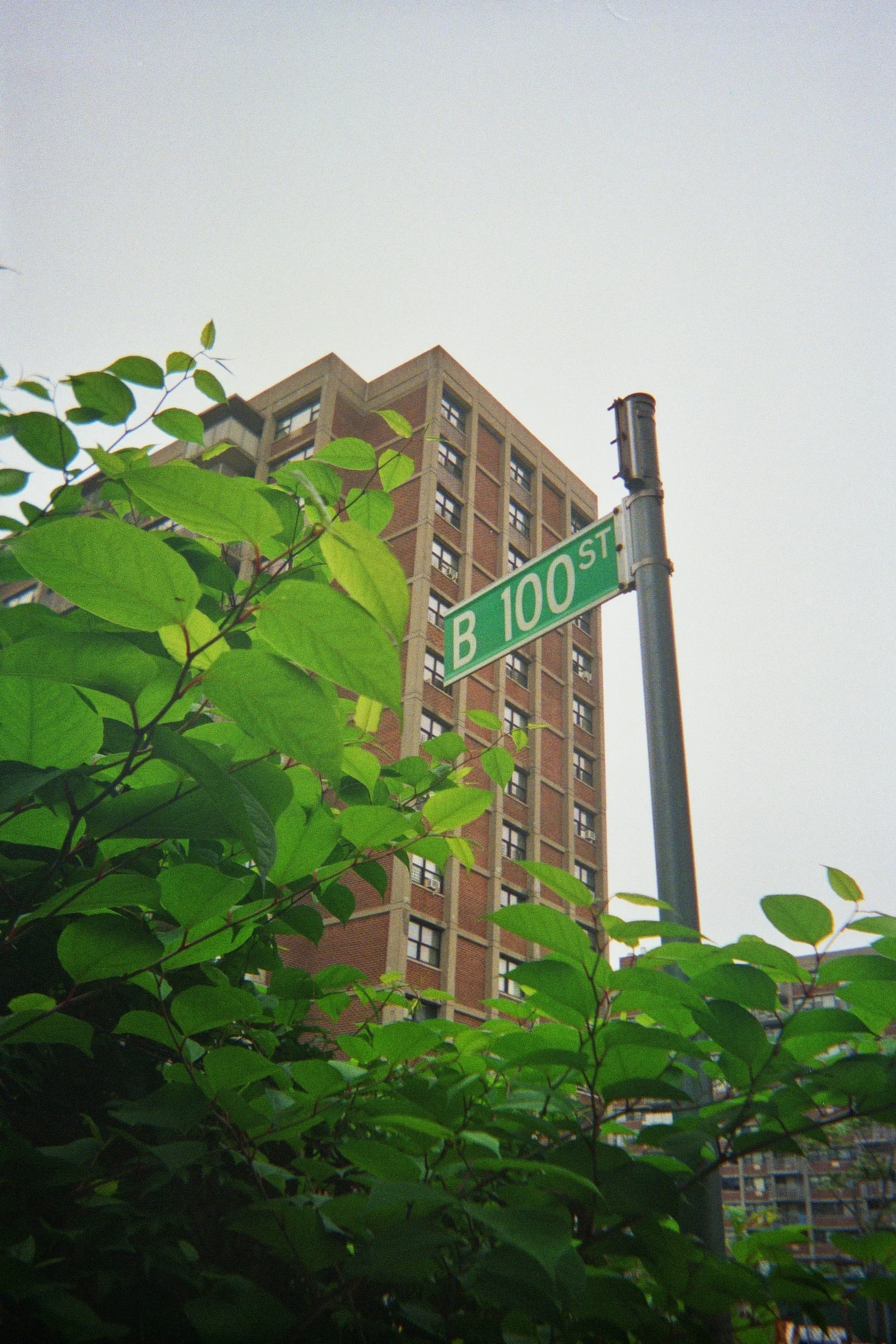 _8A_00066.jpg