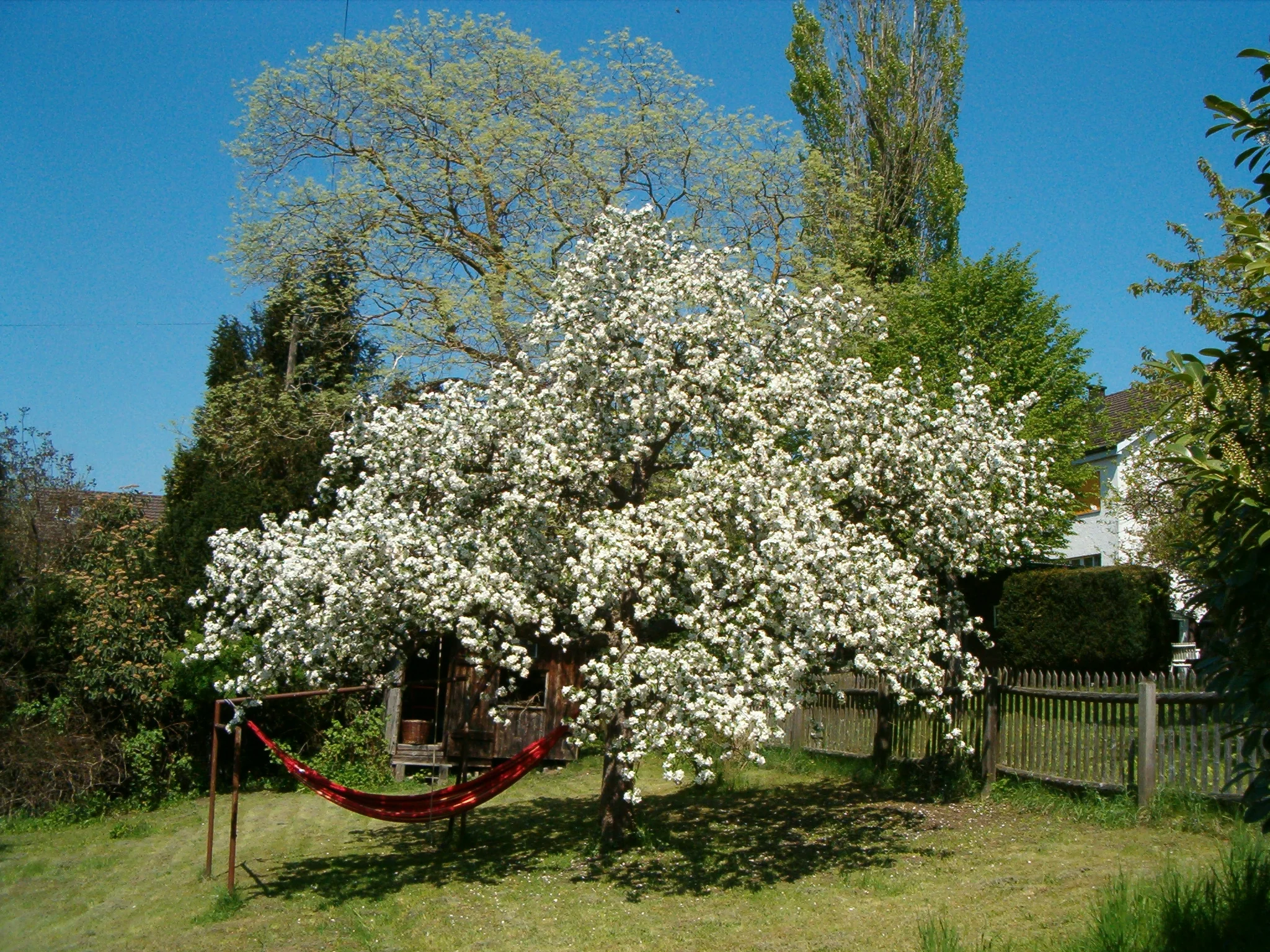 hpim0808.jpg