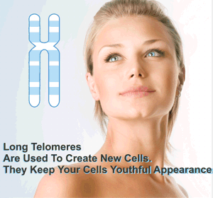 RevGenetics-Young-Telomeres-2.png