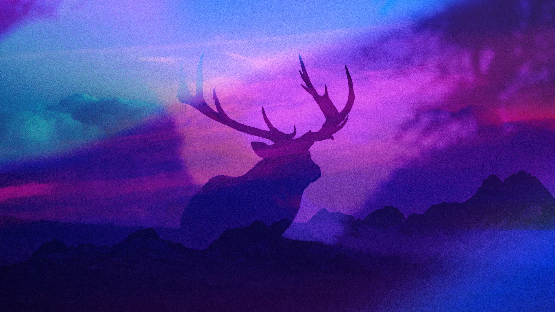 The Wisdom of the Proverbs