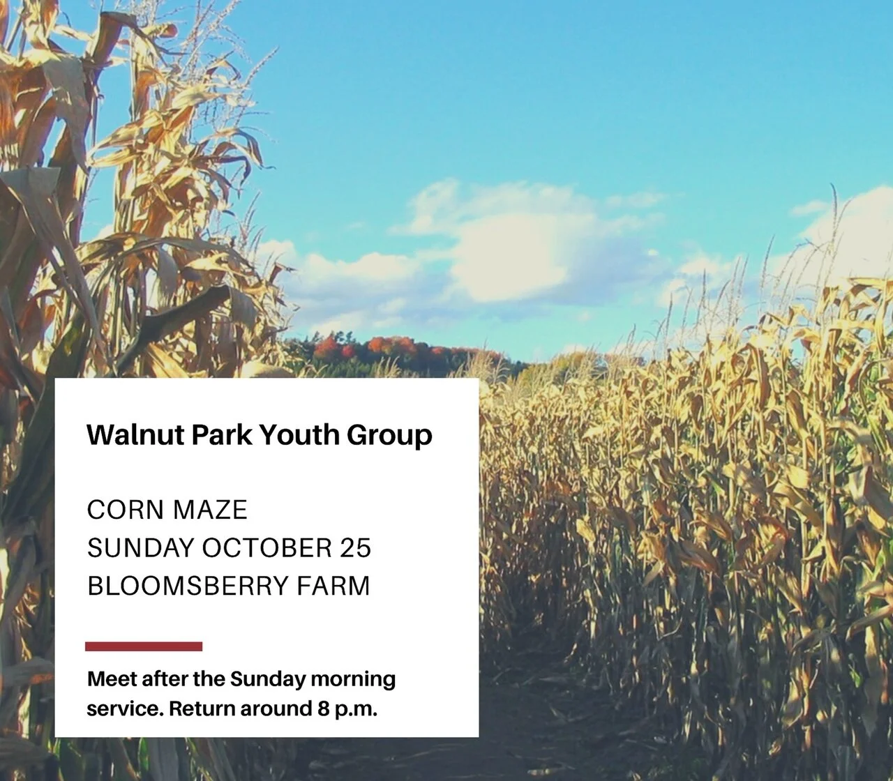 Youth Group Corn Maze