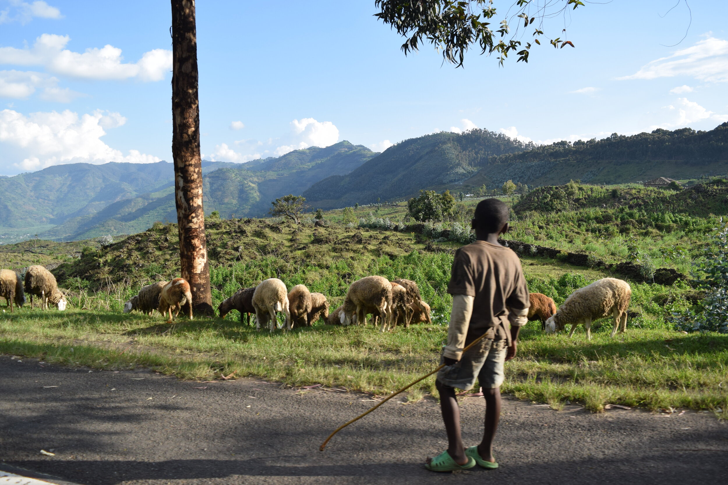 Gataraga Farmers: An Intern's Experience