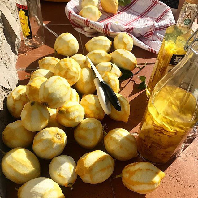 making #limoncello in the sun
